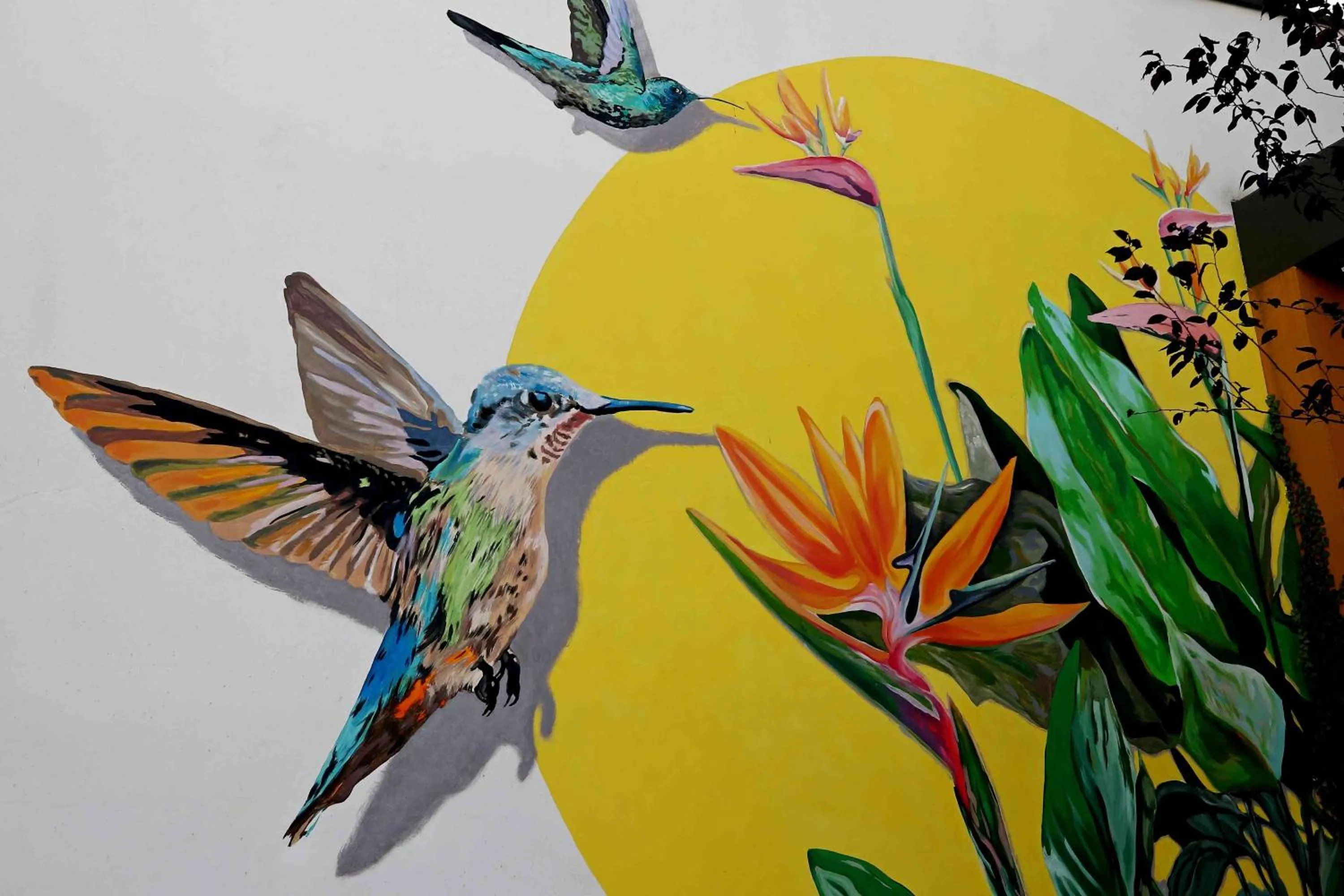 Facade/entrance in iroom