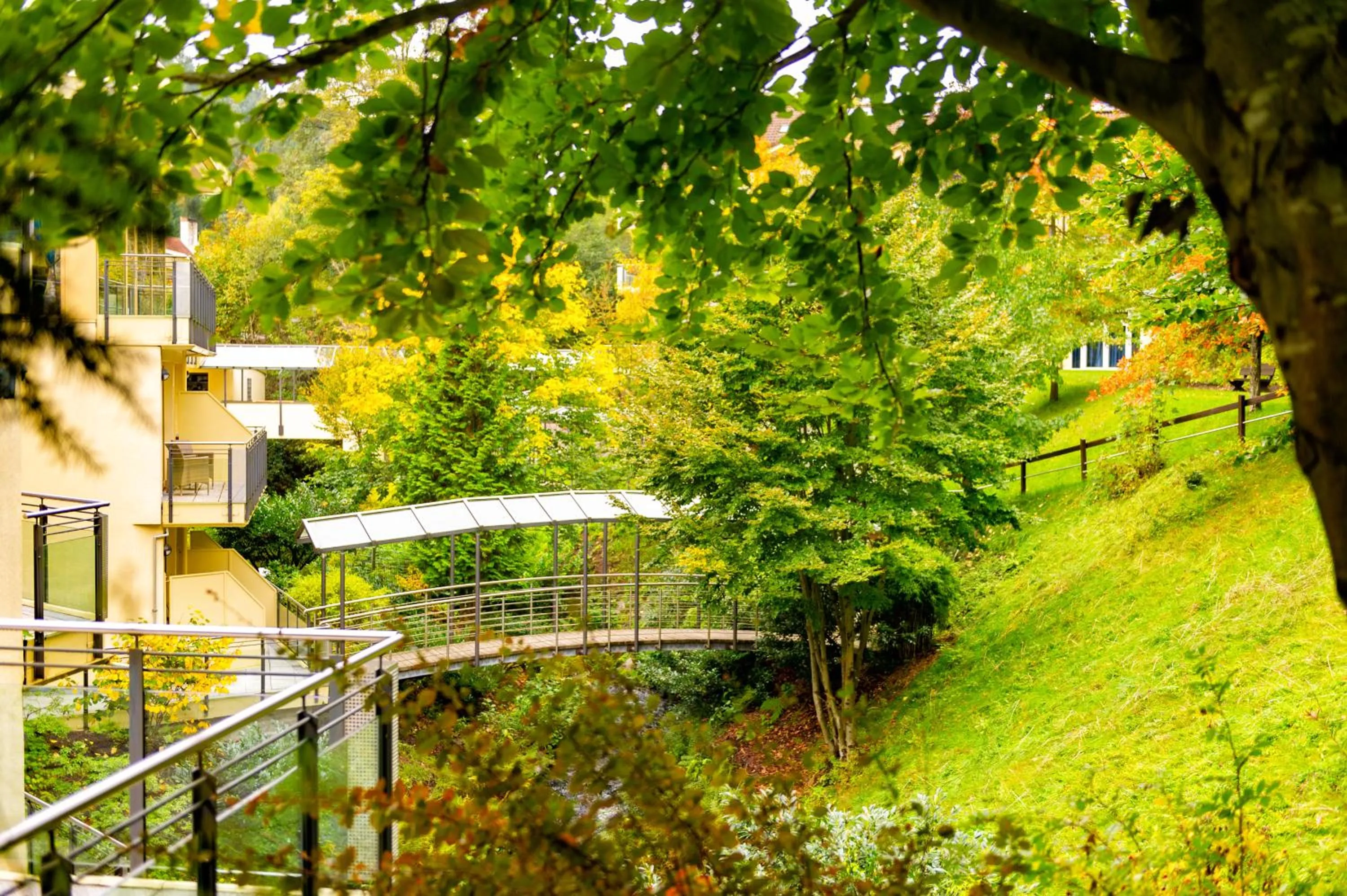Natural landscape in Hotel Villa Marburg im Park
