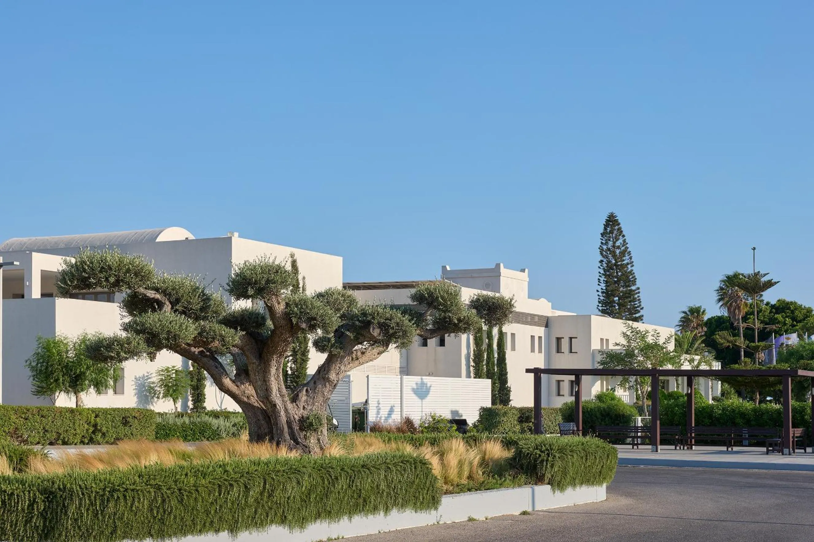 Garden in Atlantica Beach Resort Kos