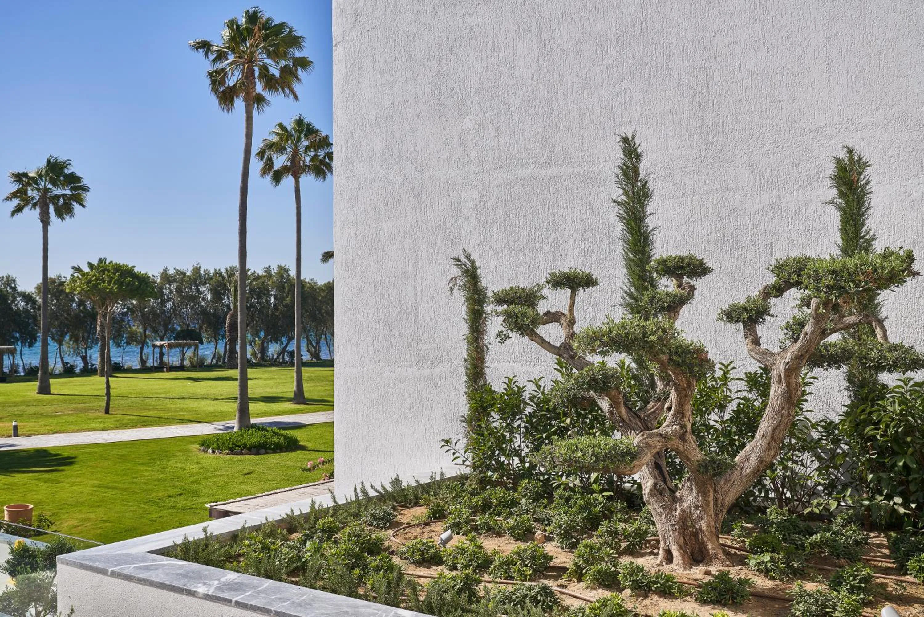 Garden in Atlantica Beach Resort Kos