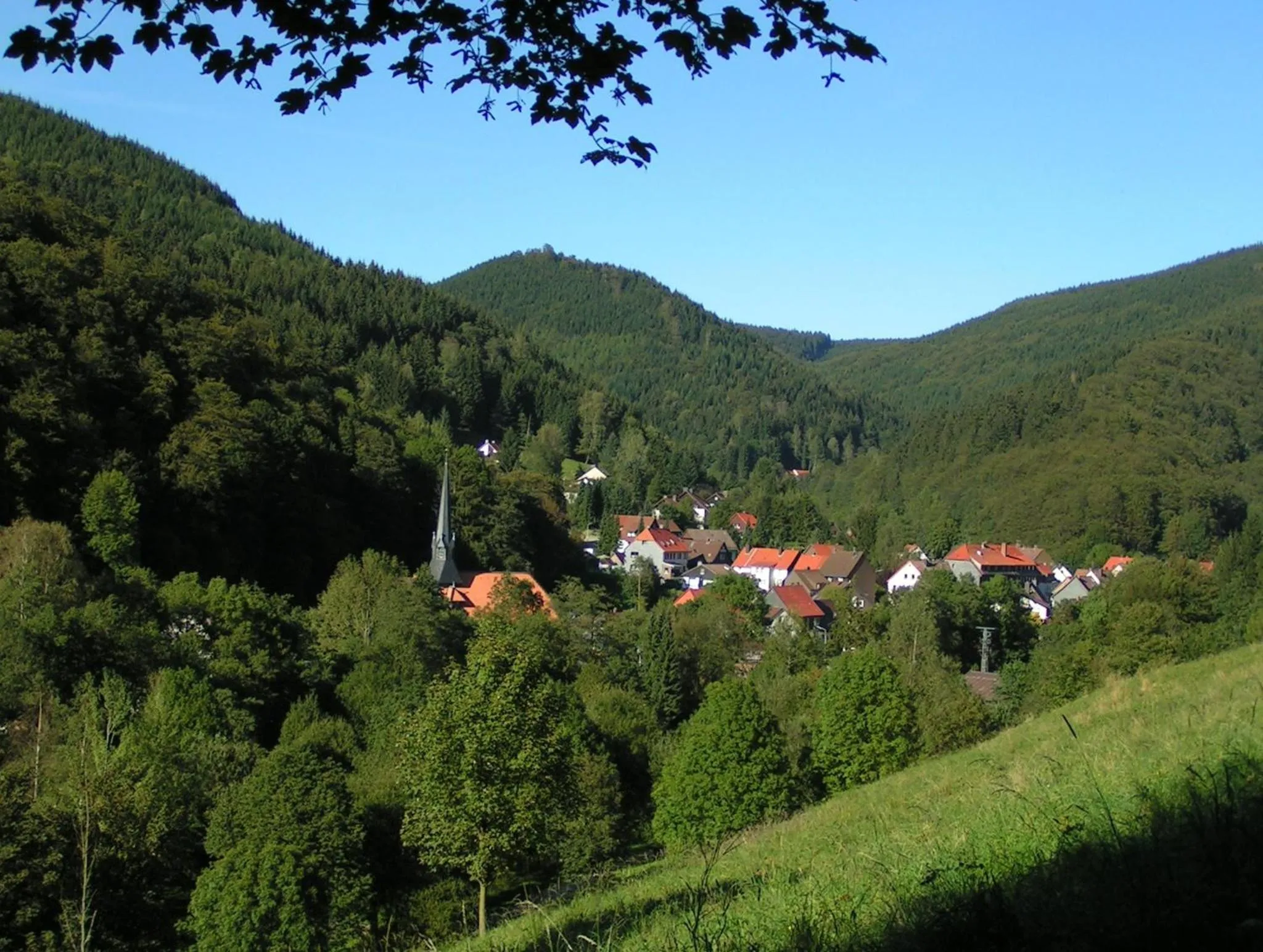 Natural landscape in Harz hotel Iris