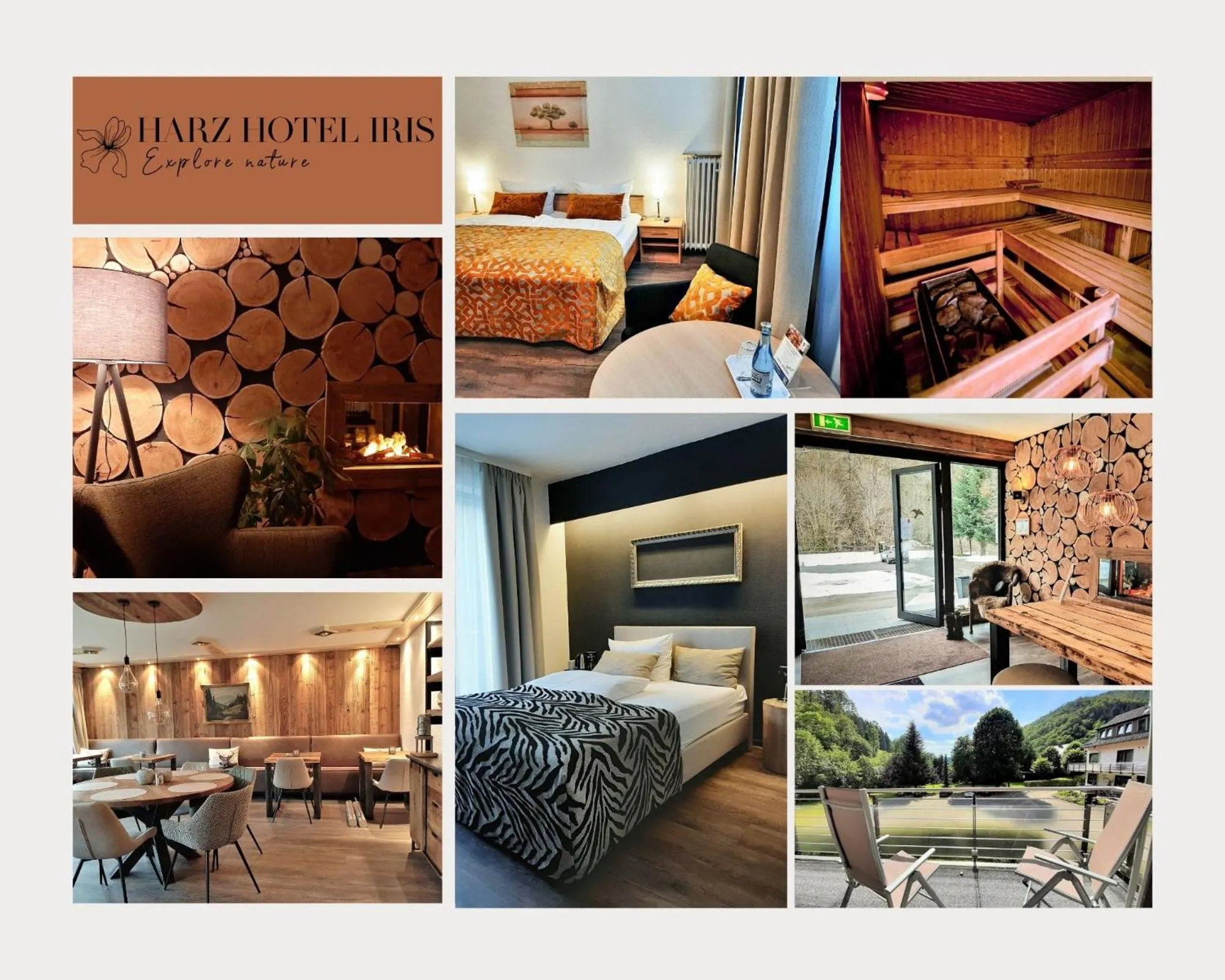 Property building in Harz hotel Iris