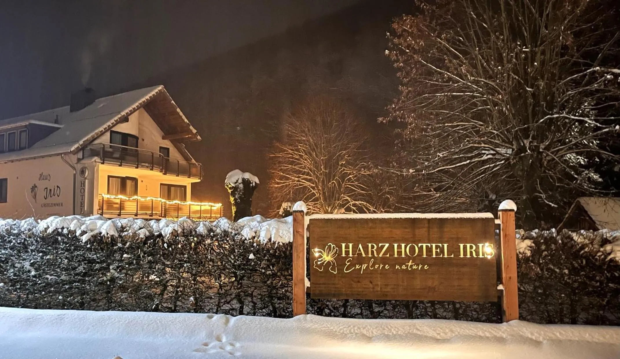 Property building in Harz hotel Iris