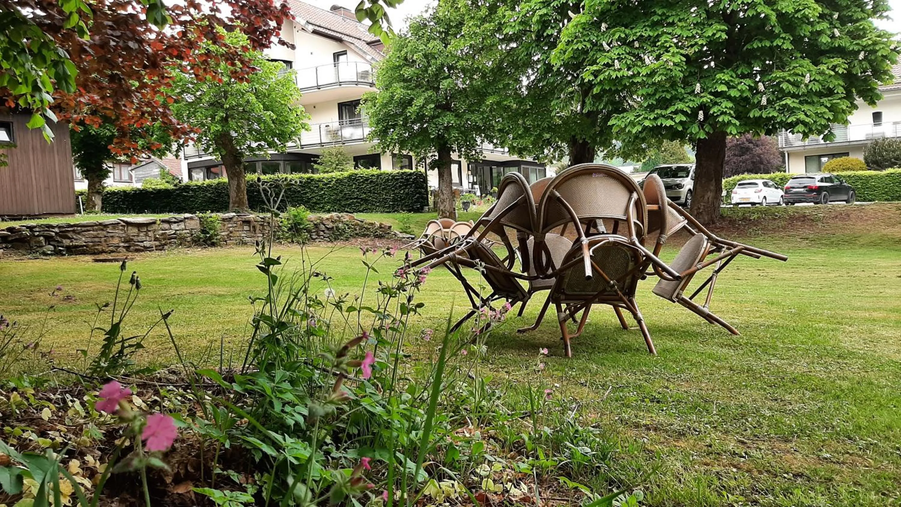 Garden in Harz hotel Iris
