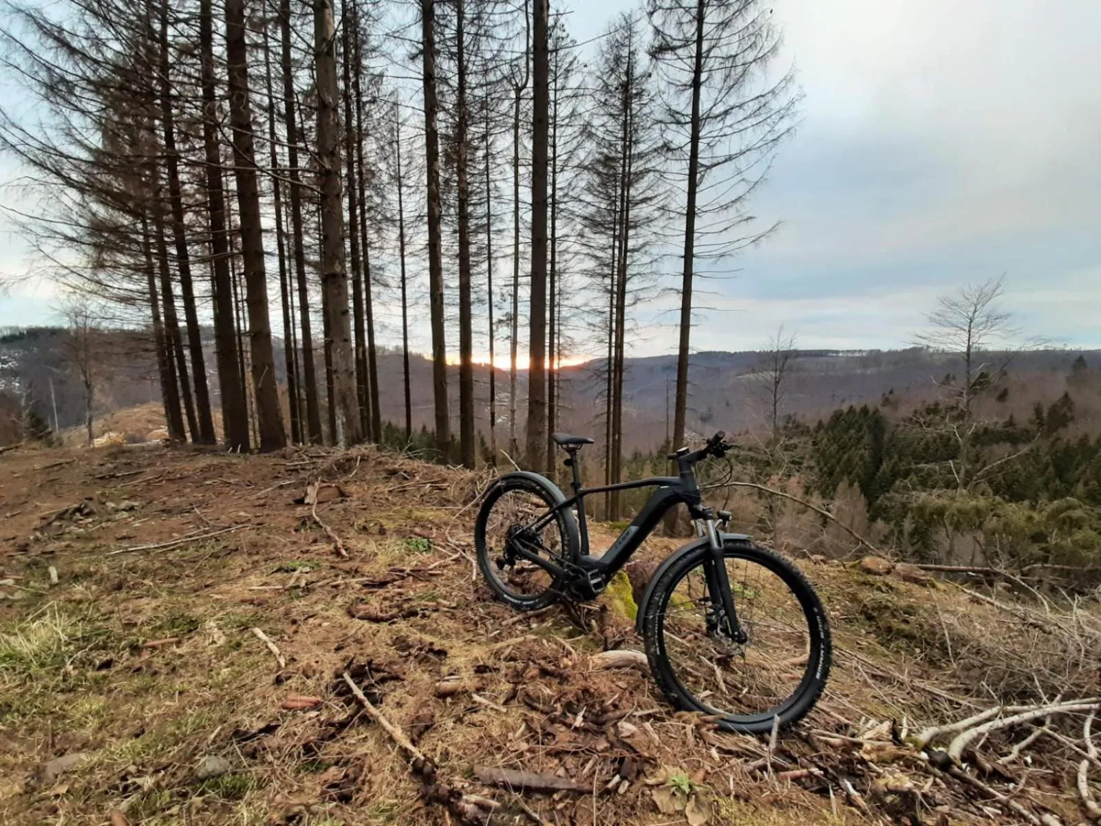 Activities in Harz hotel Iris