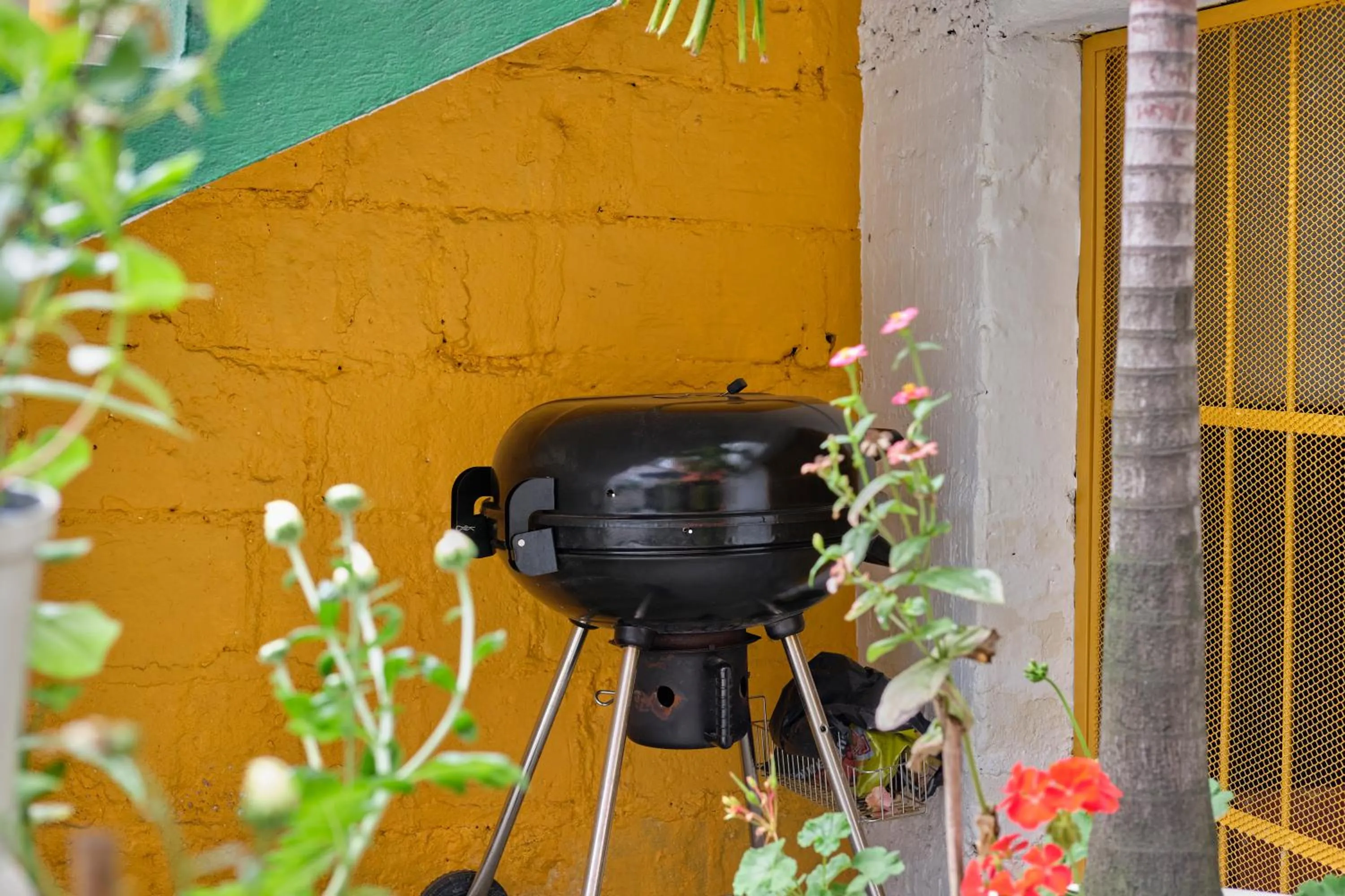 Balcony/Terrace in Botánica Casa Hotel