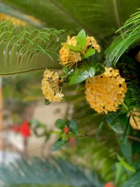 Hotel Velejador,há 5 minutos do Centro Historico