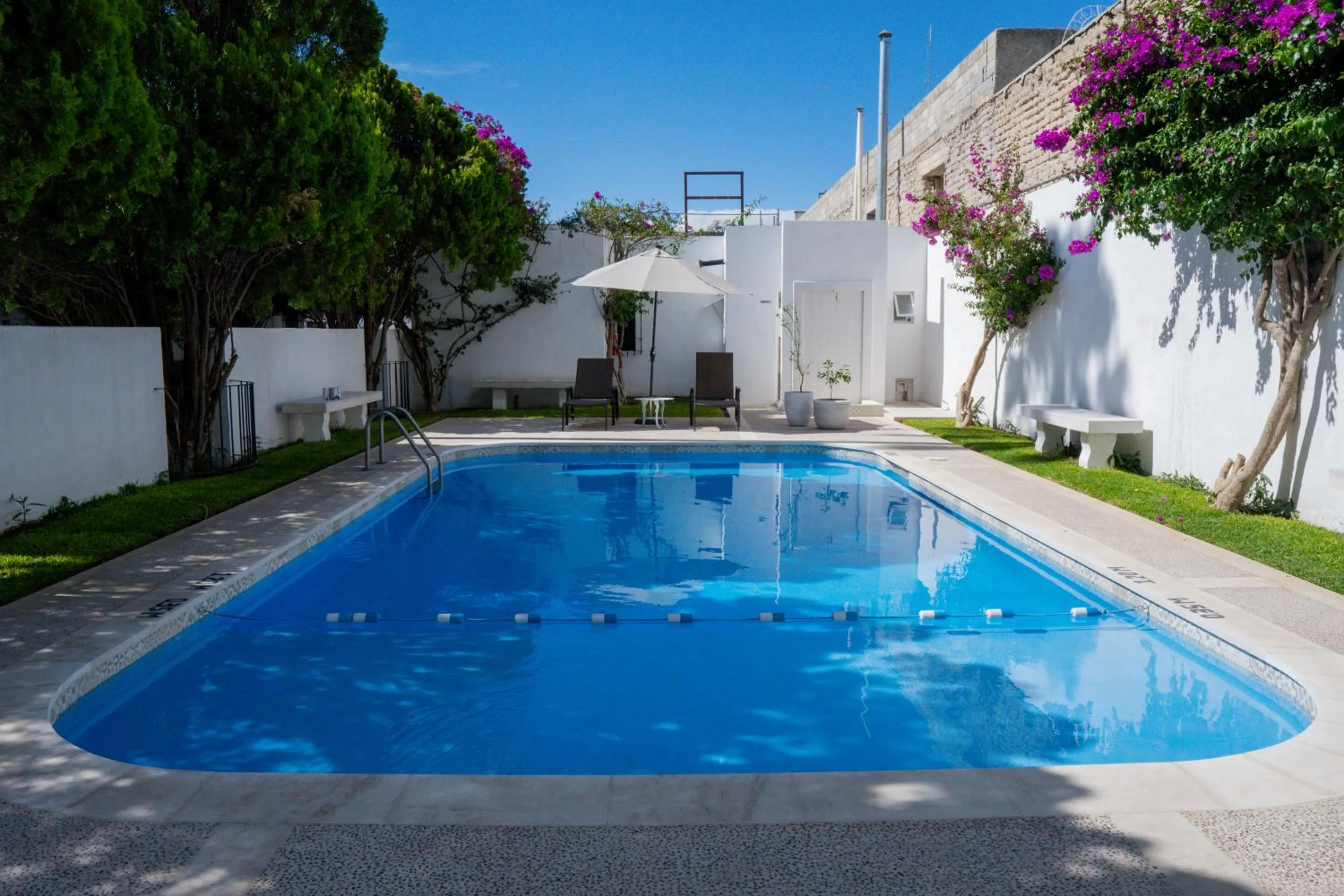Swimming pool in Hotel El Farol