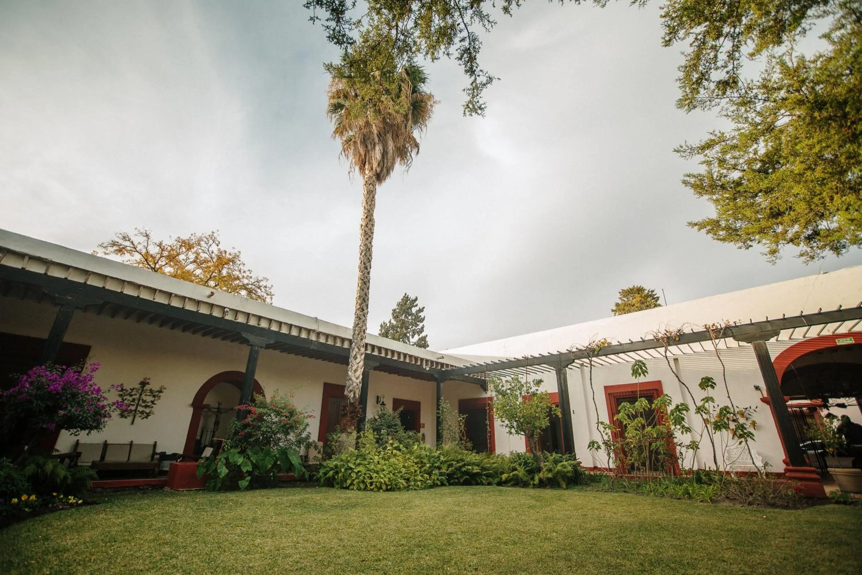 Garden in Hotel El Farol