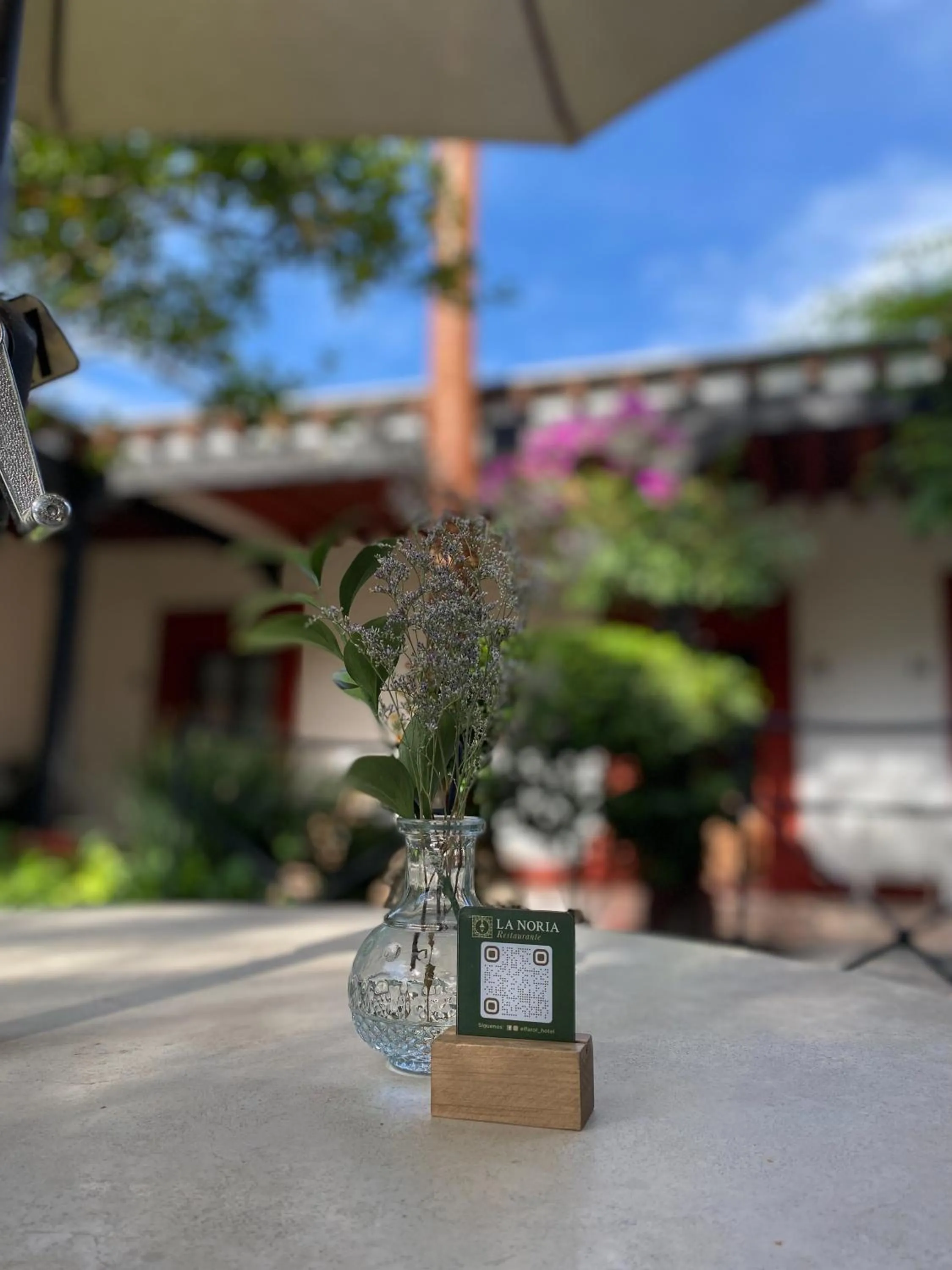 Restaurant/places to eat in Hotel El Farol