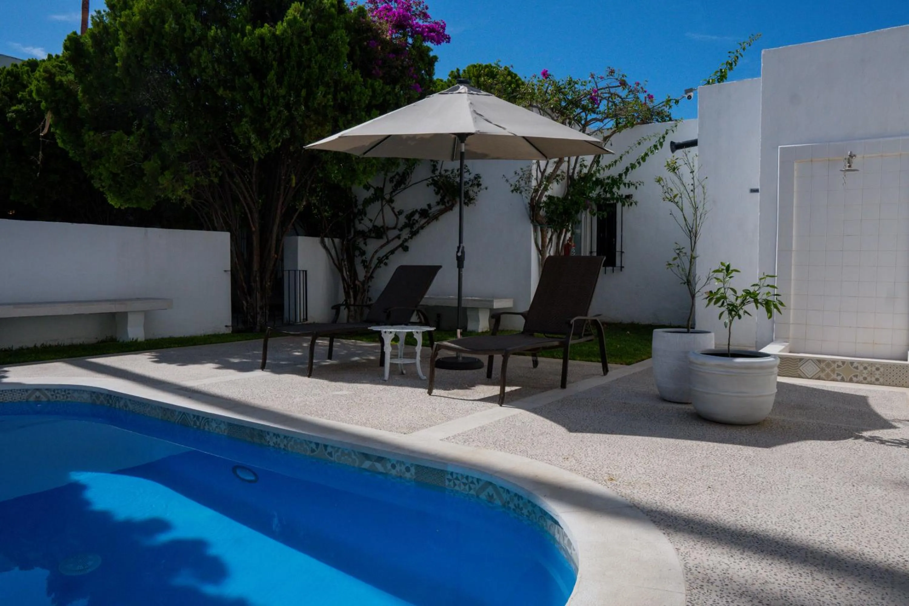 Swimming pool in Hotel El Farol