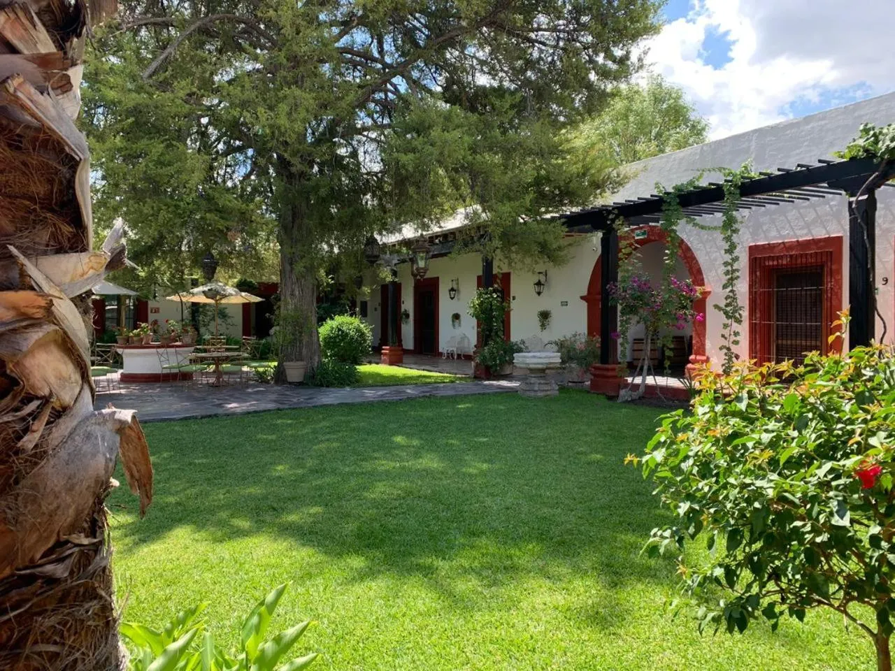 Garden in Hotel El Farol