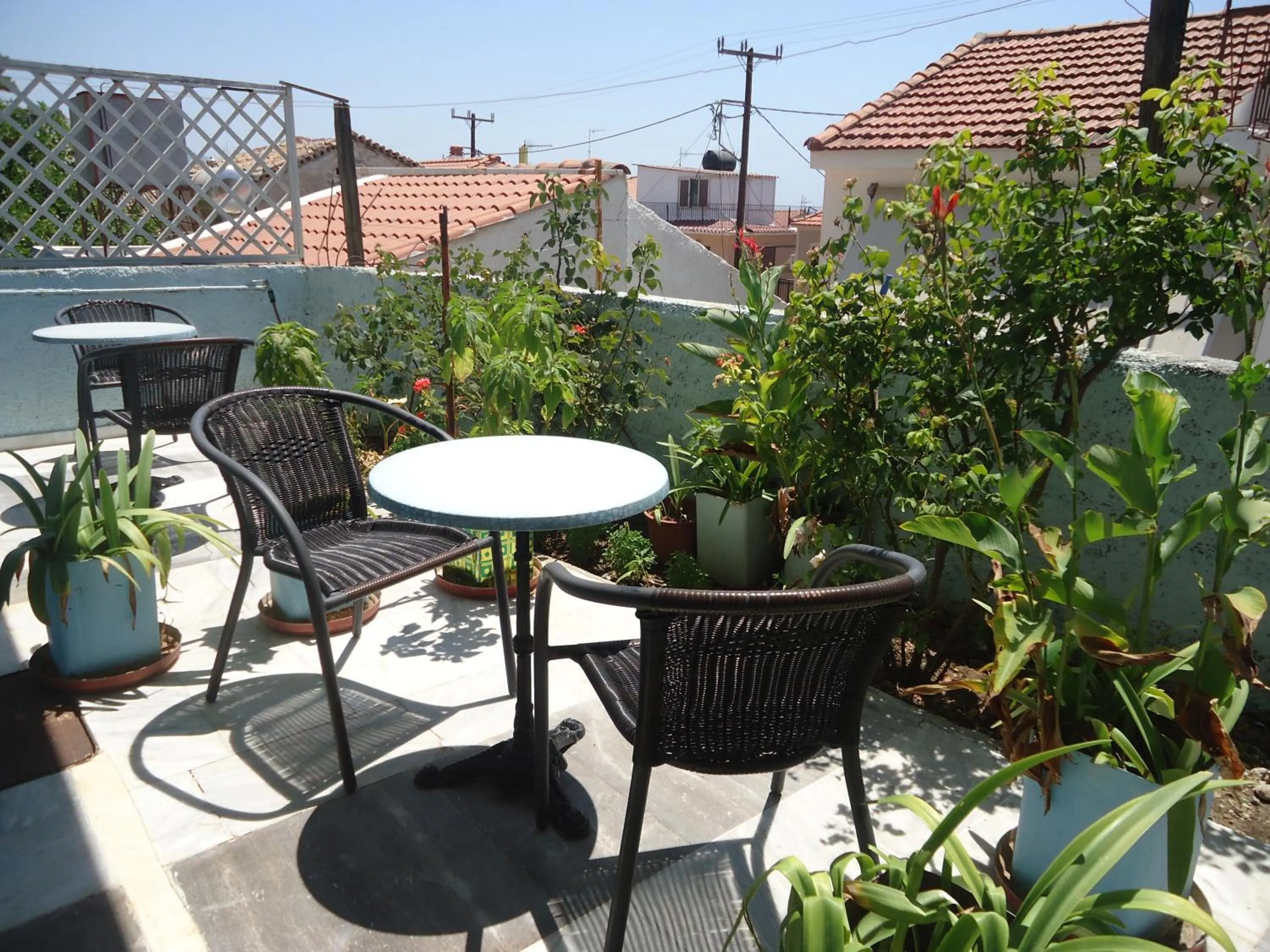 Balcony/Terrace in Zorbas Hotel