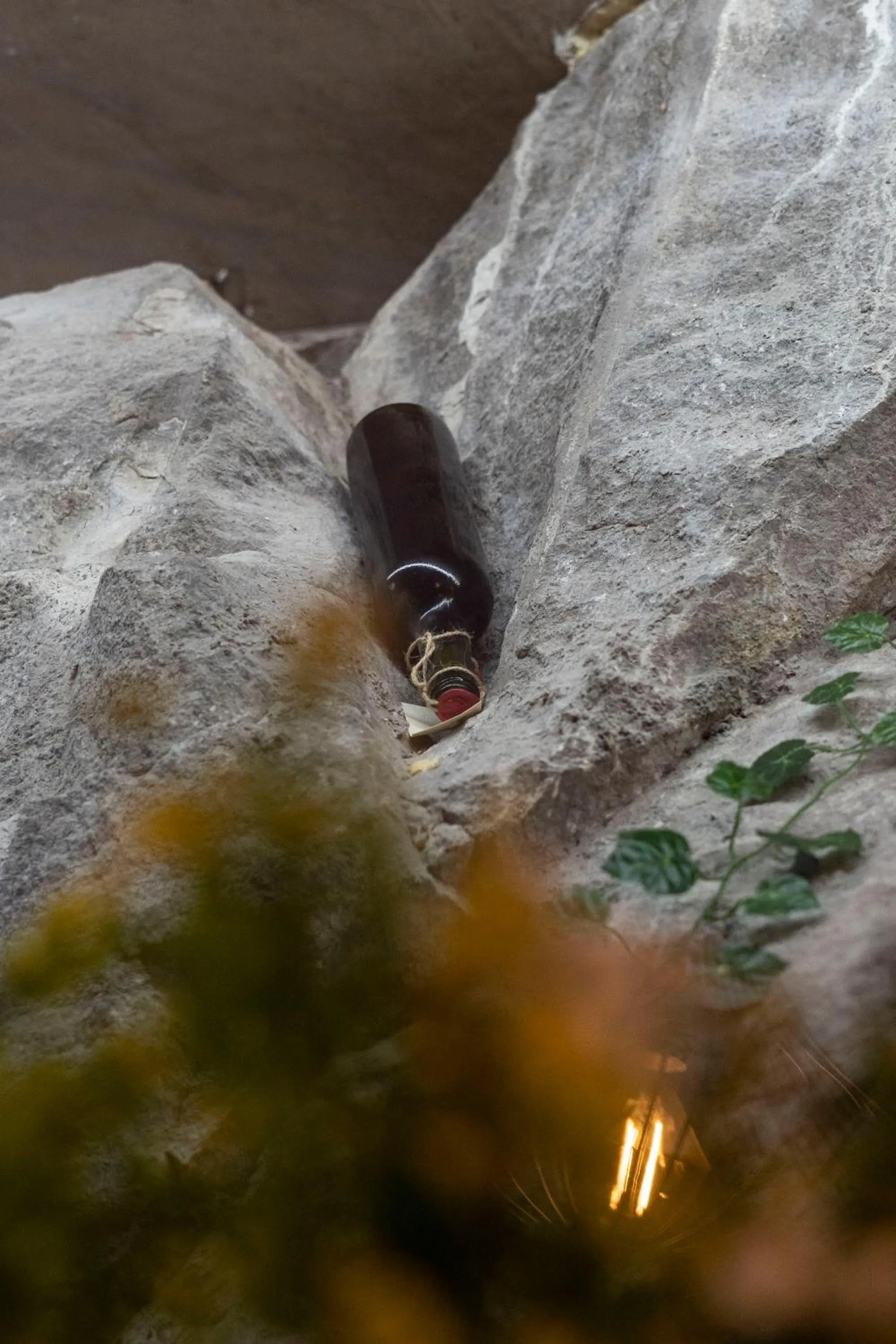 Restaurant/places to eat in Pulpudeva Family Hotel