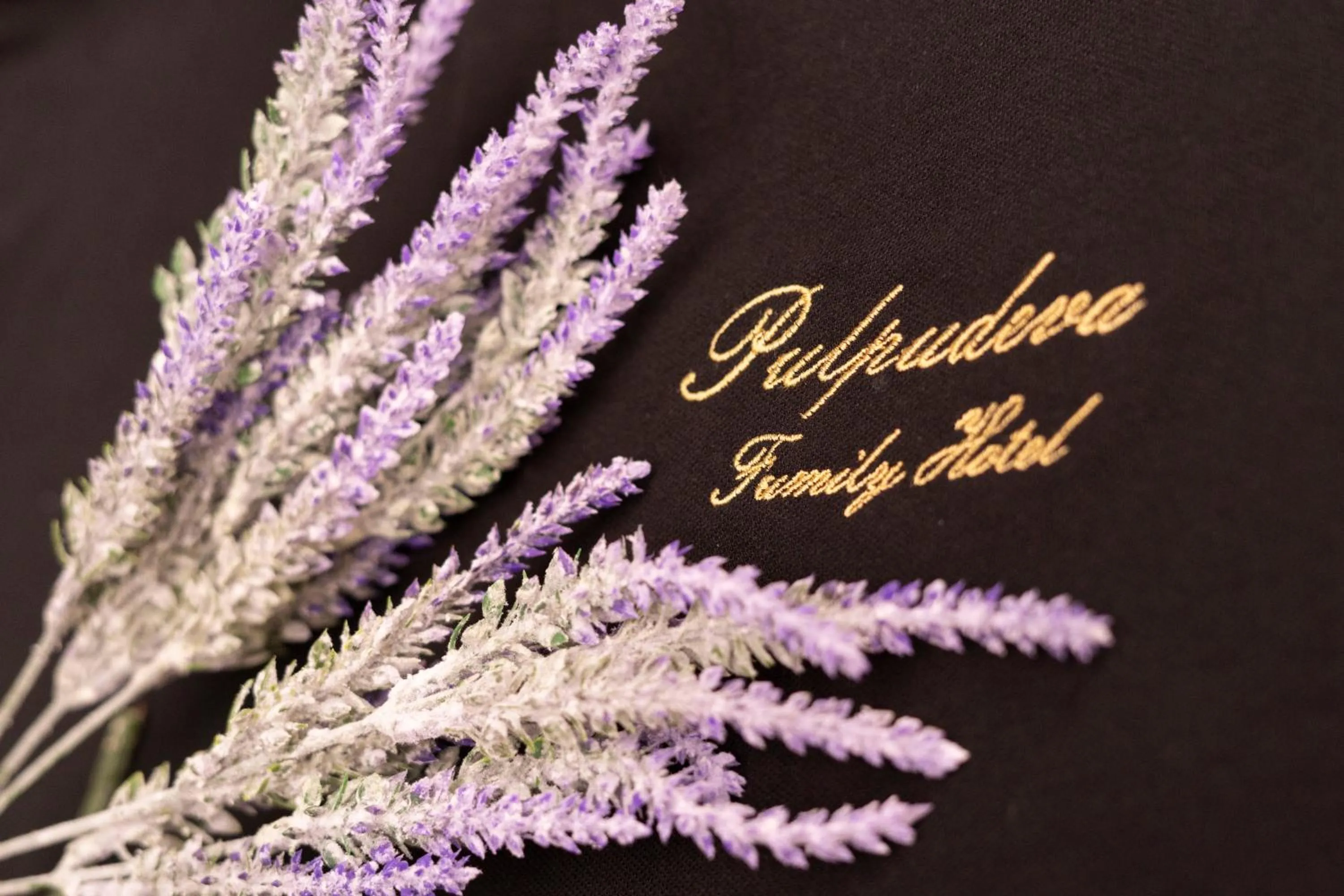 Property logo or sign in Pulpudeva Family Hotel