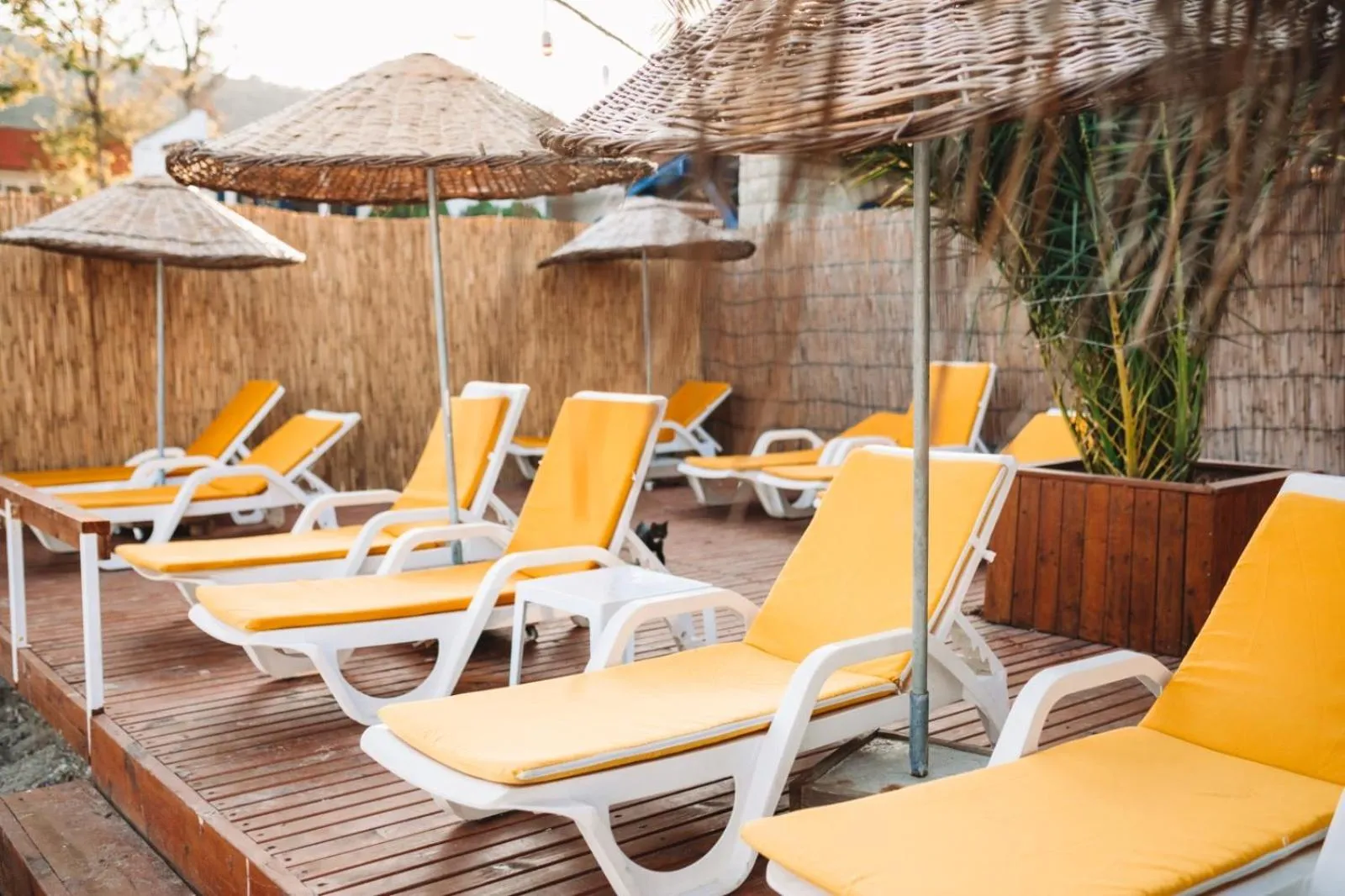 View (from property/room) in Büyükada Loc'ada