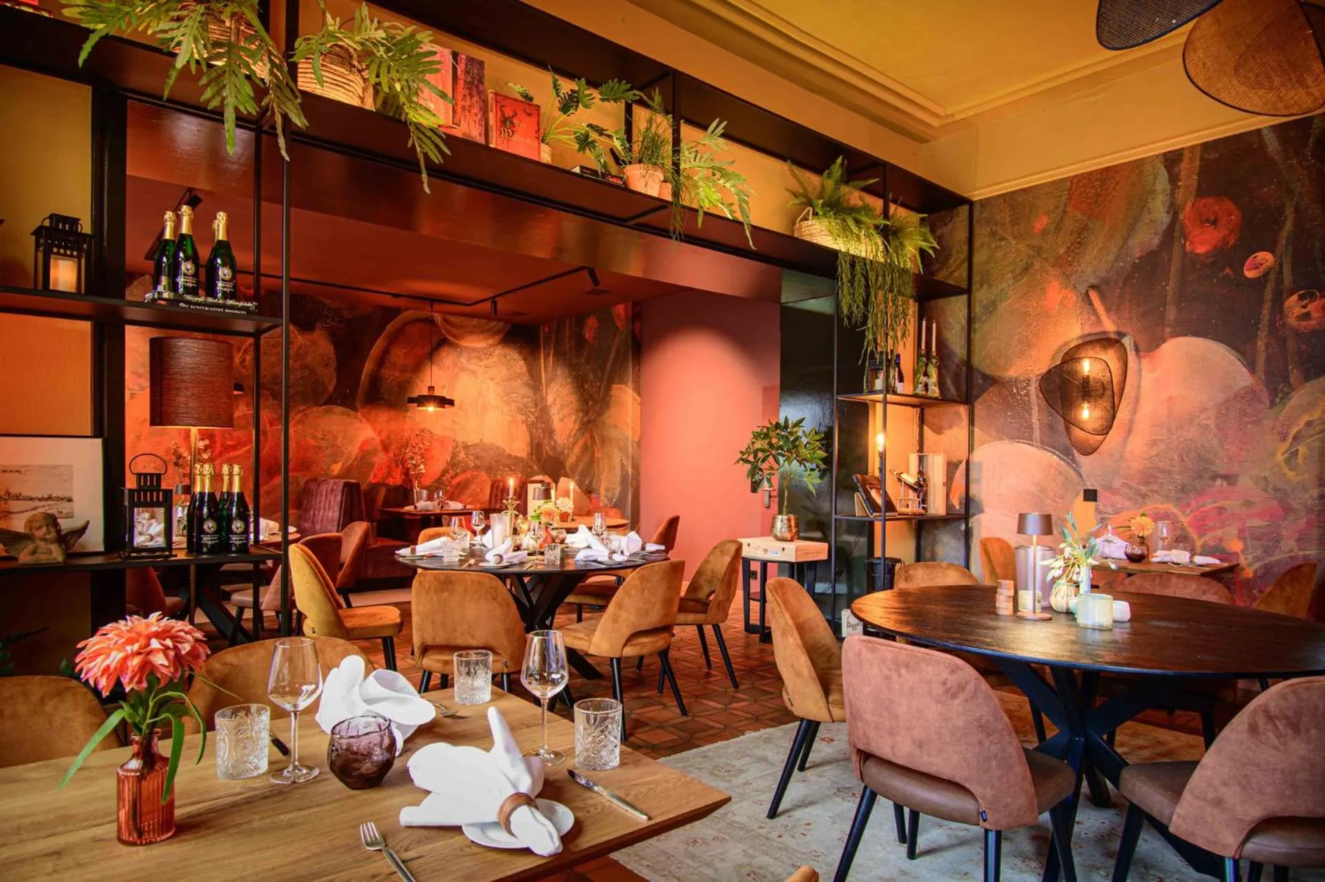 Restaurant/places to eat in Hotel Schepers