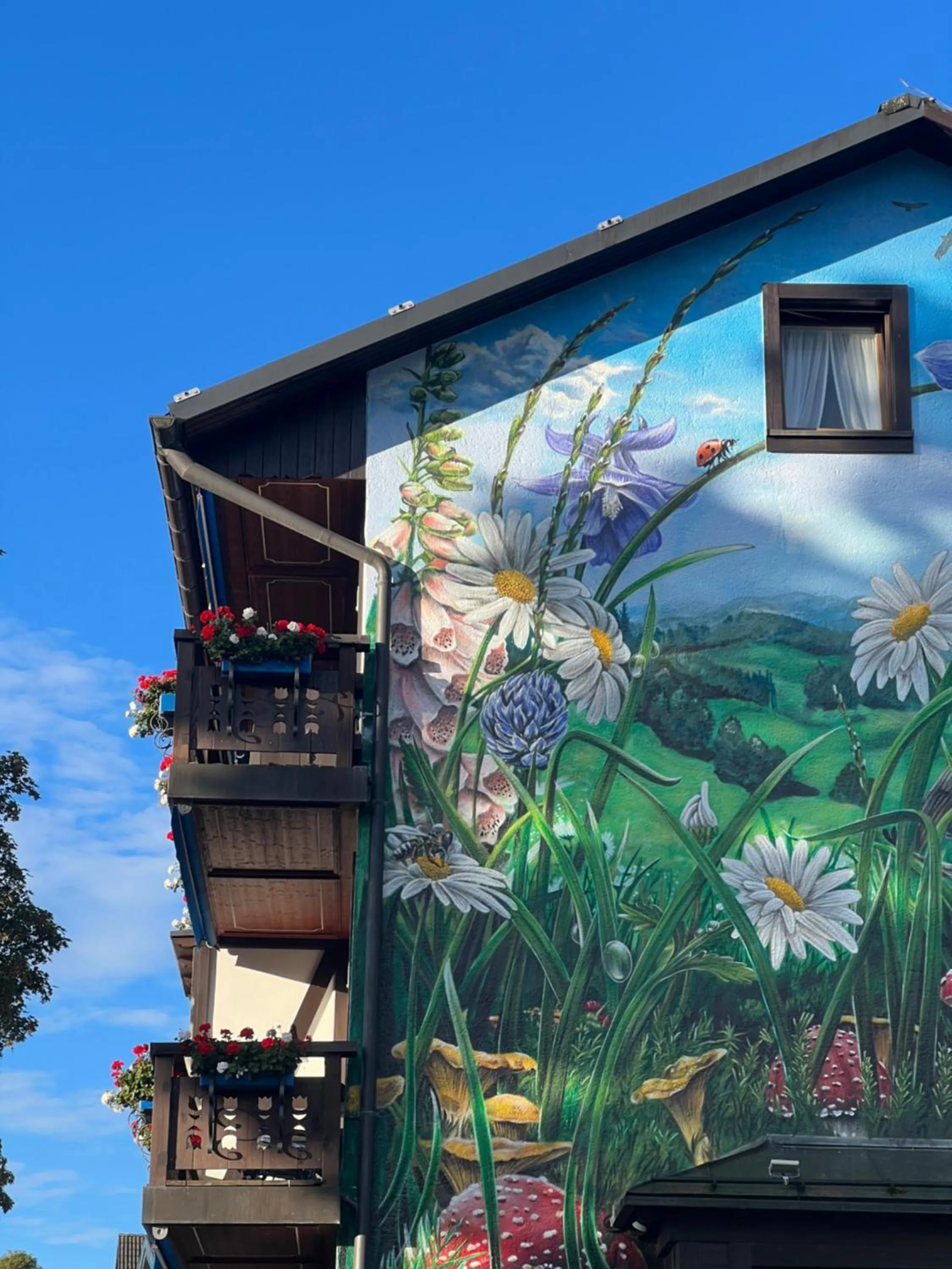 Property building in Boutique Hotel Dorer