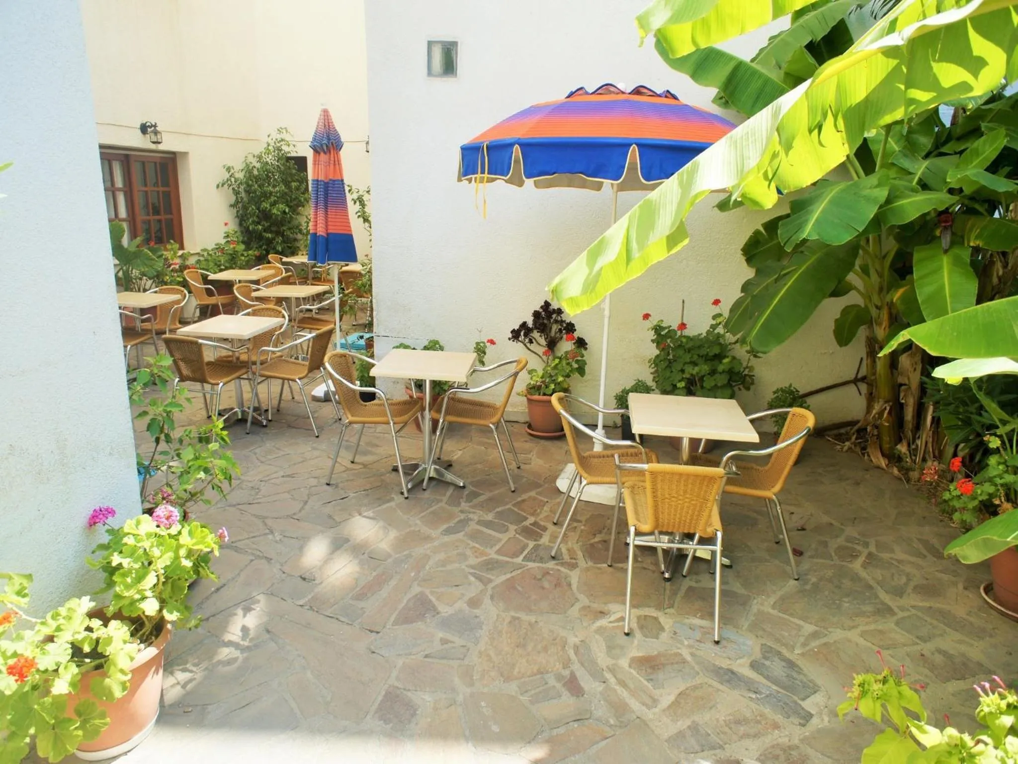 Area and facilities in Anthemis Hotel