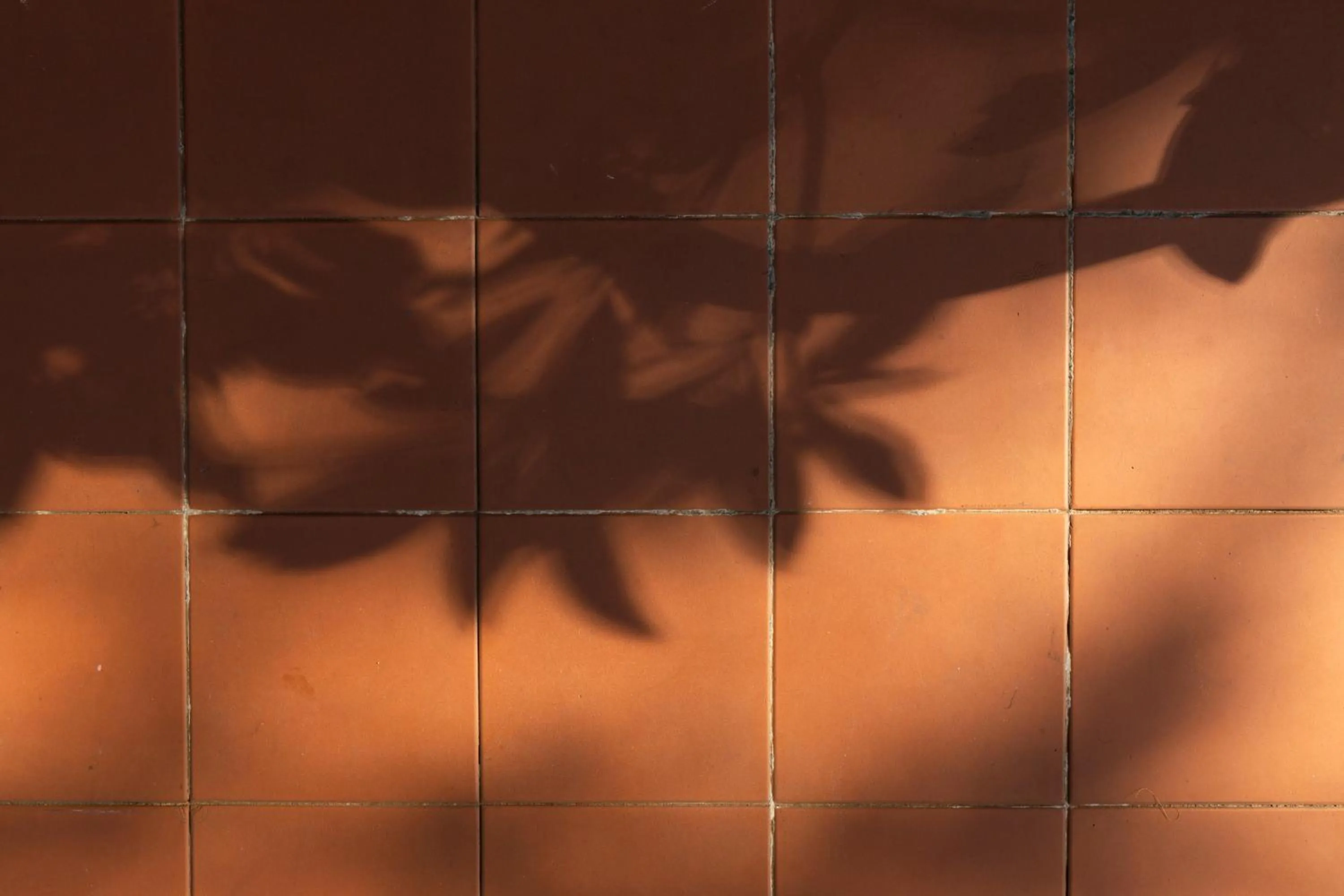 Decorative detail in The Alison Randwick