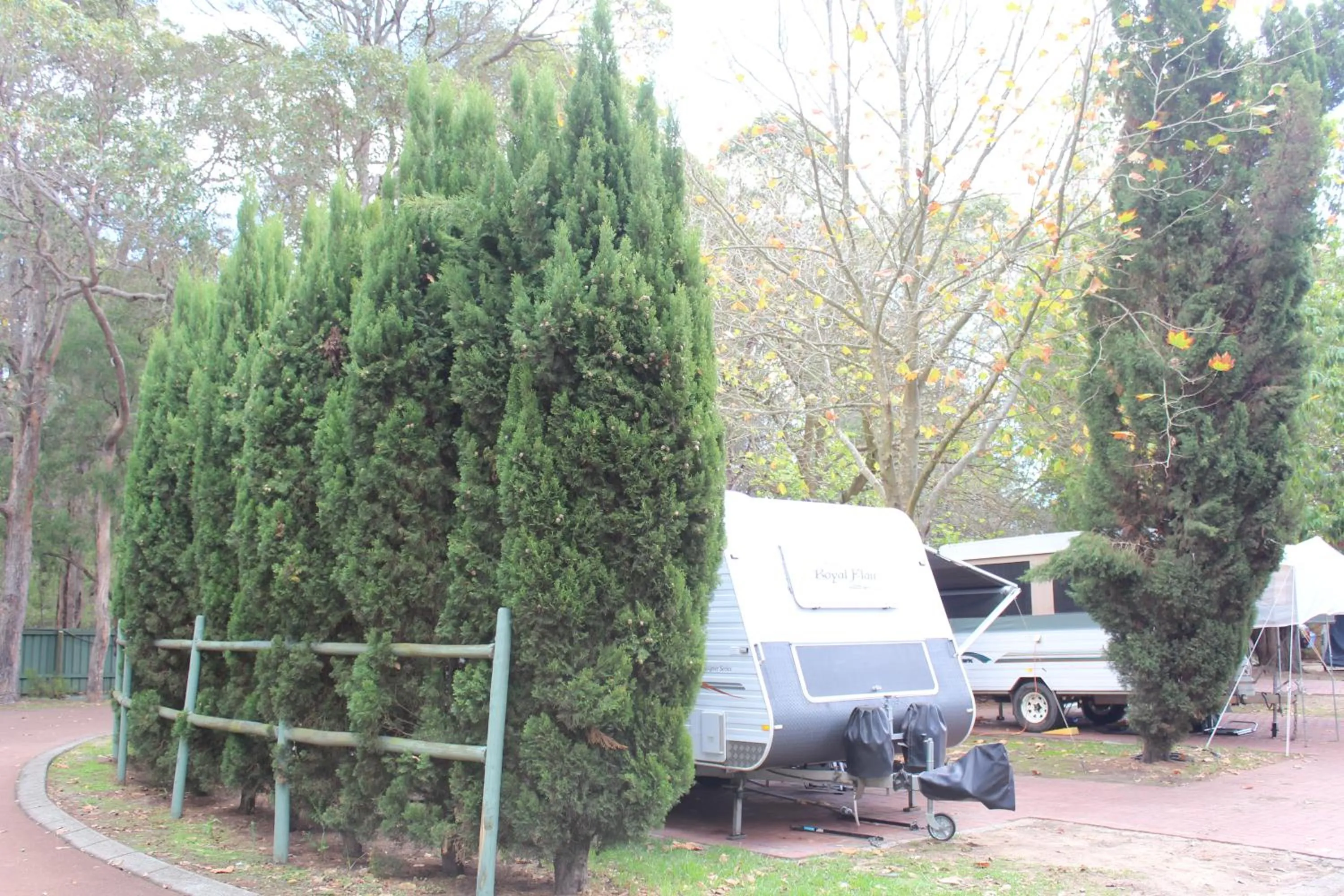 Garden in Margaret River Tourist Park