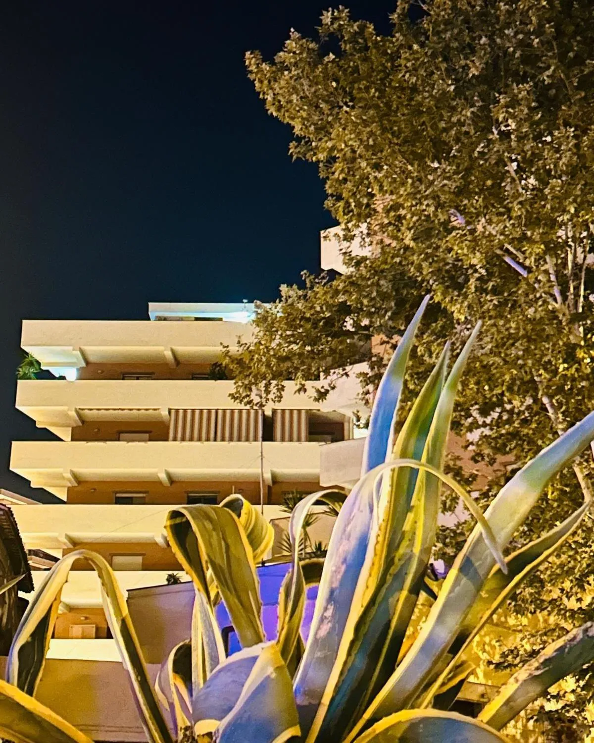 B&BYanet's Beautiful House