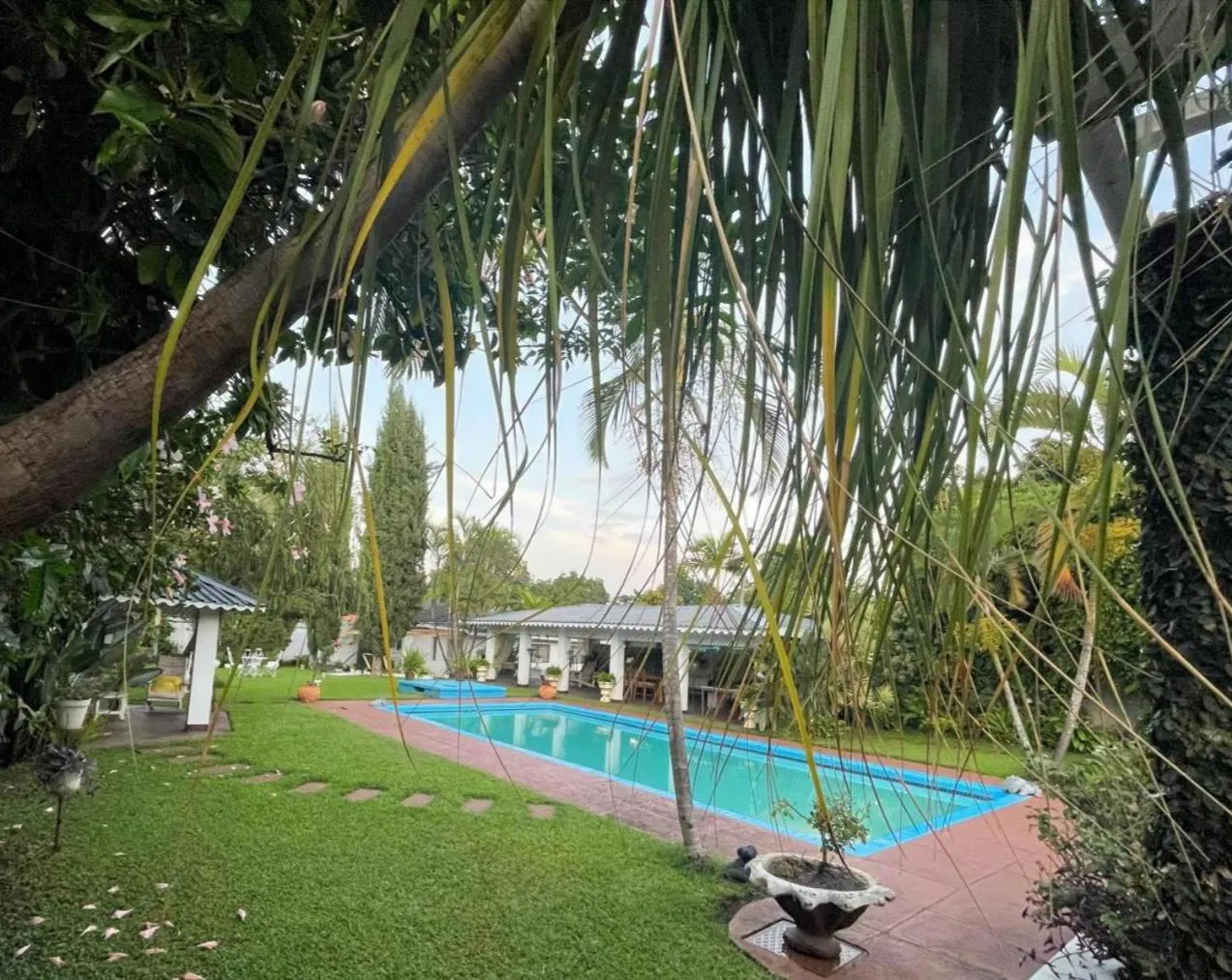 Garden in Copperbelt Executive Accommodation Ndola, Zambia