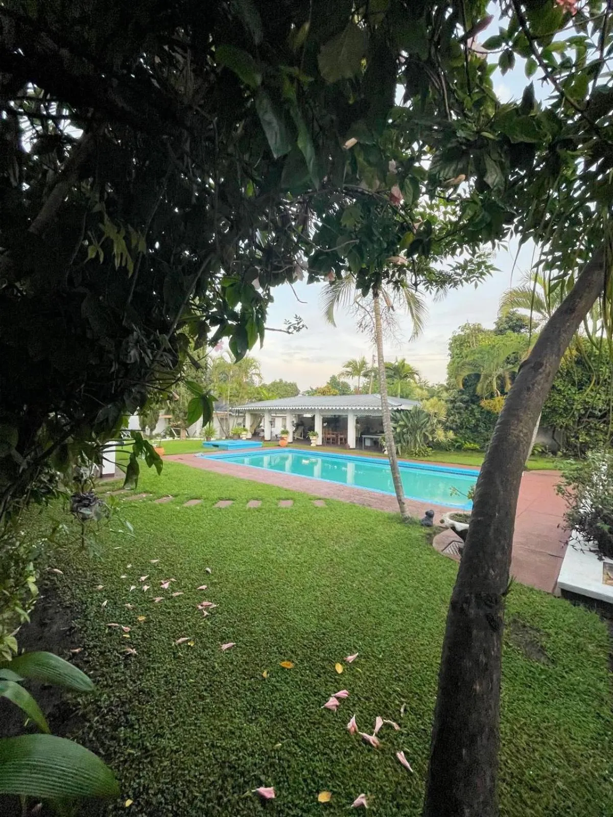 Natural landscape in Copperbelt Executive Accommodation Ndola, Zambia