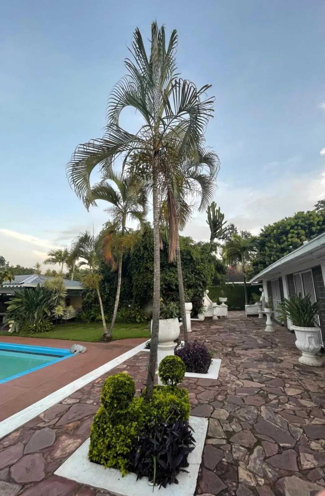 Garden view in Copperbelt Executive Accommodation Ndola, Zambia