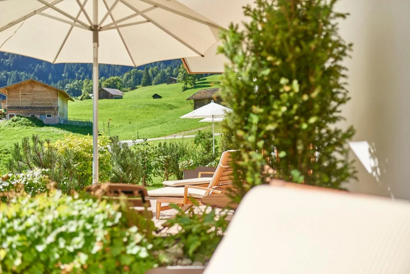 Garden in Aspen Alpine Lifestyle Hotel
