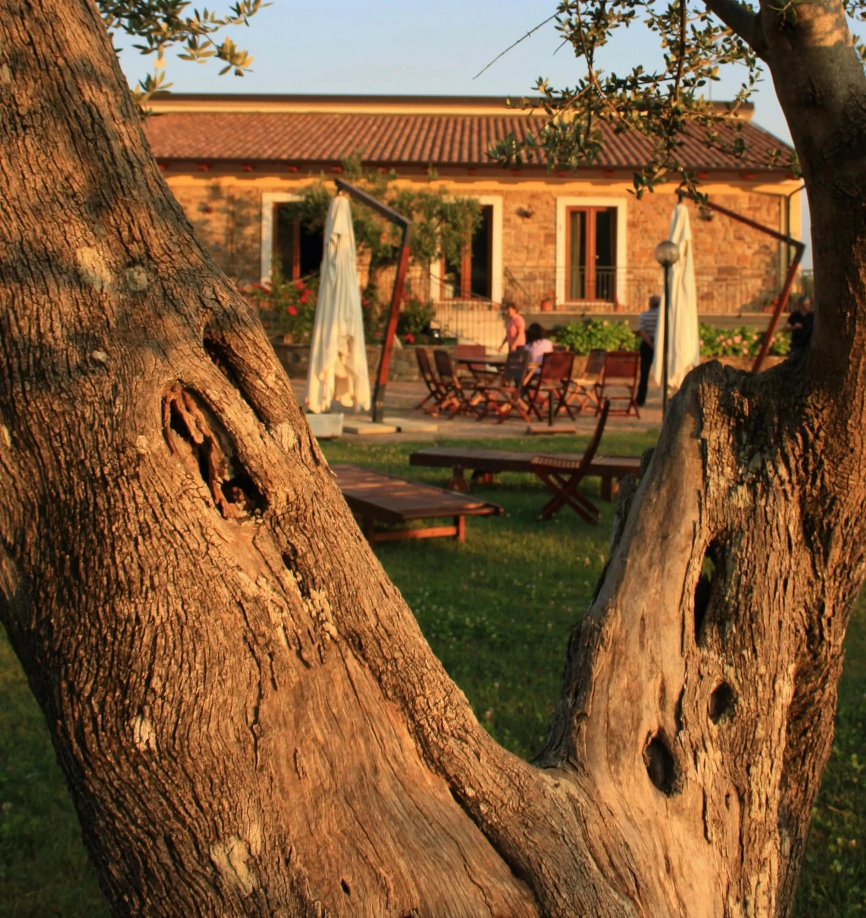 Property building in L' Aia Resort