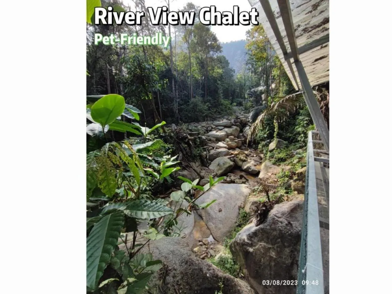 Gibbon Retreat Bentong