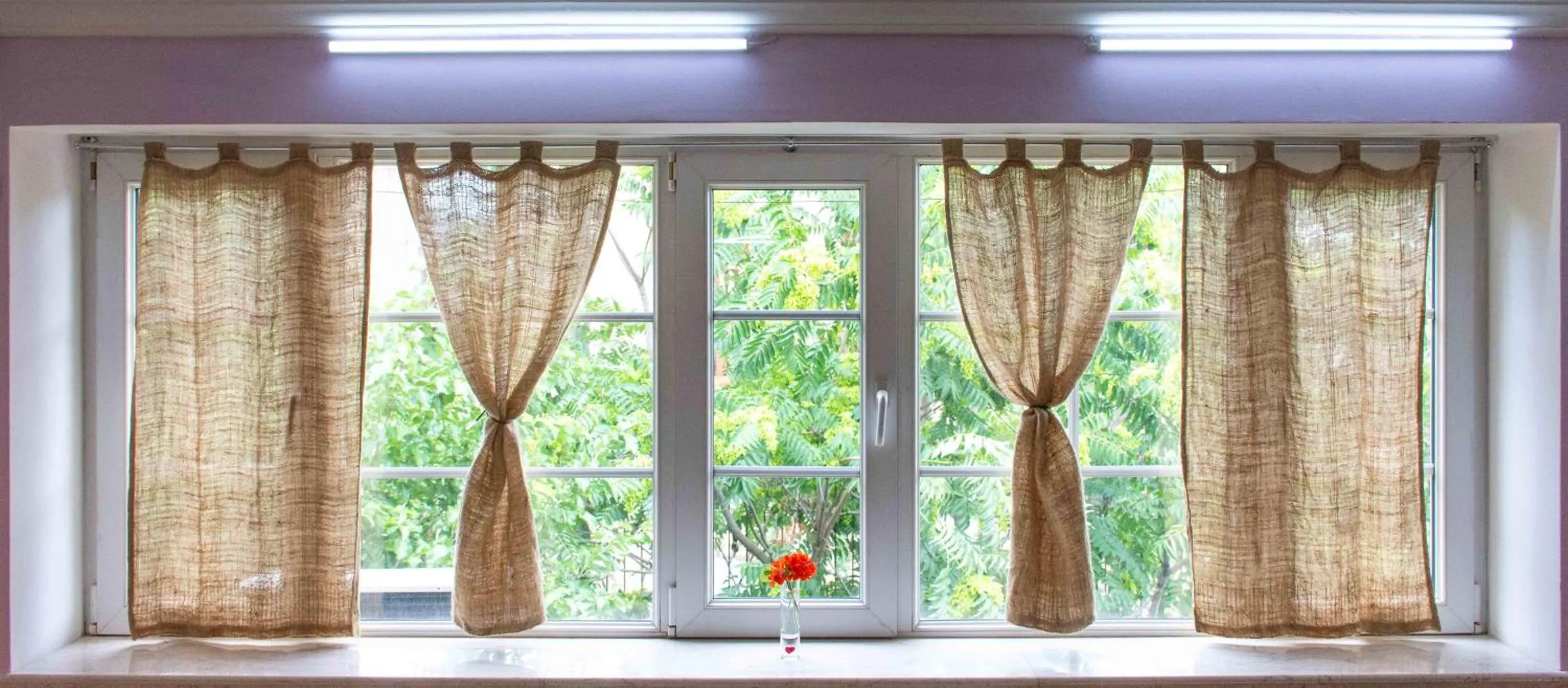 Garden view in JR's House