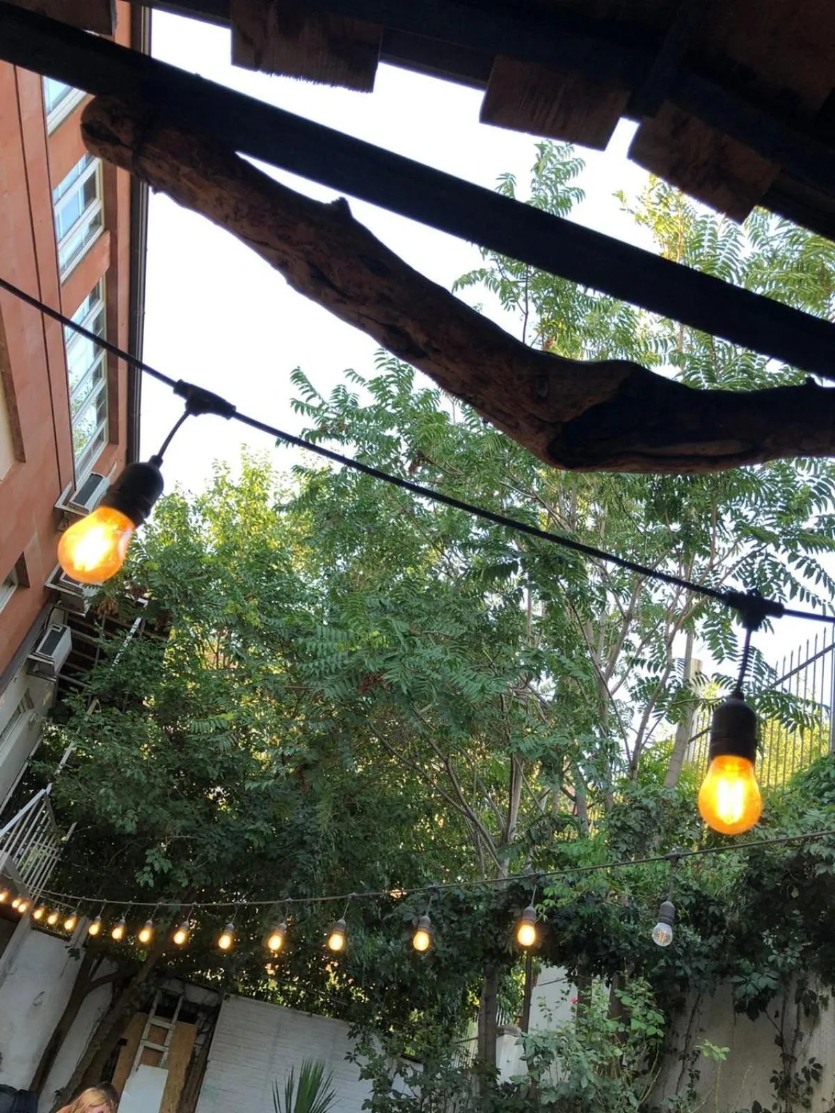 Garden view in JR's House