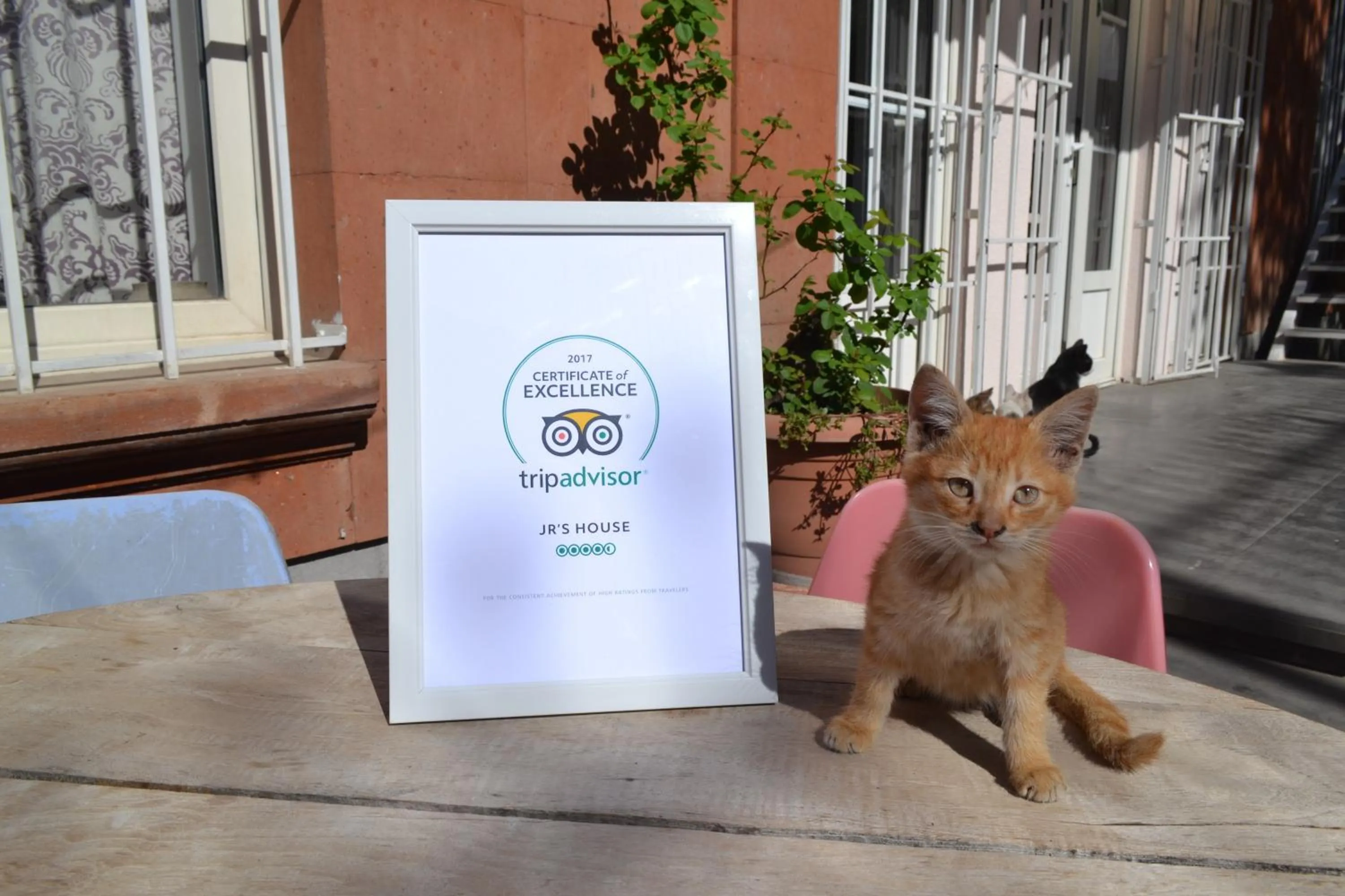 Certificate/Award in JR's House