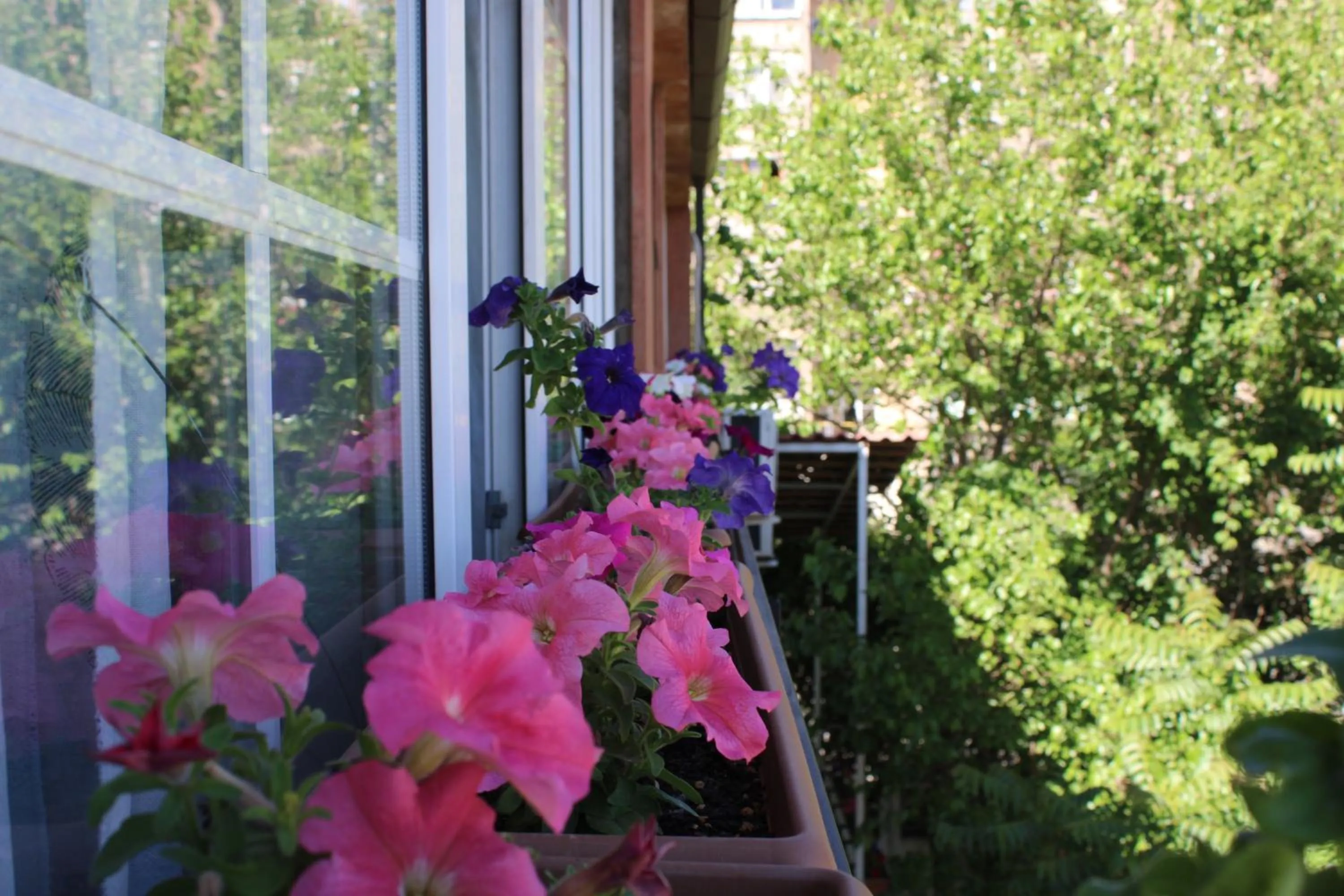 Property building in JR's House