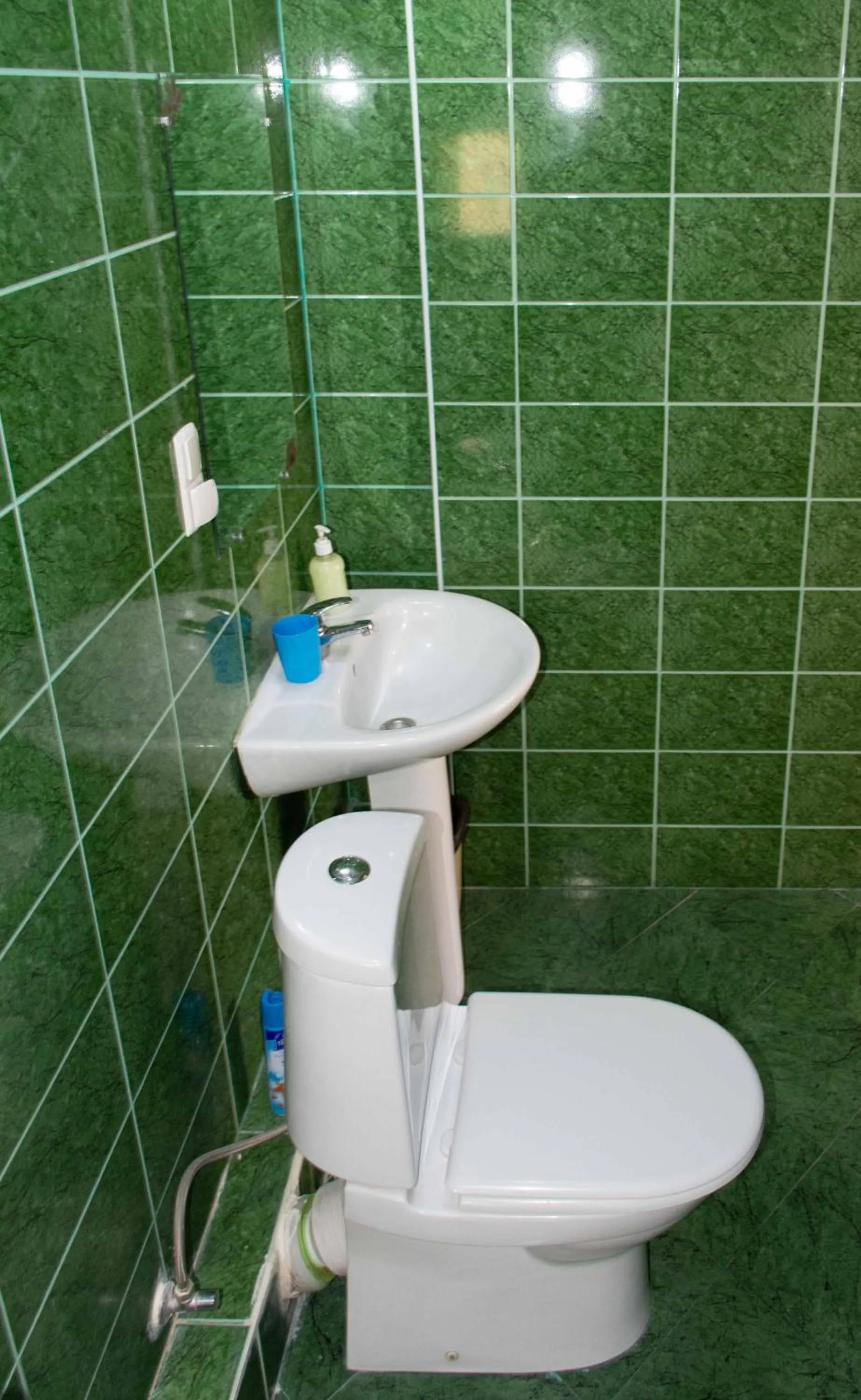 Shower in JR's House