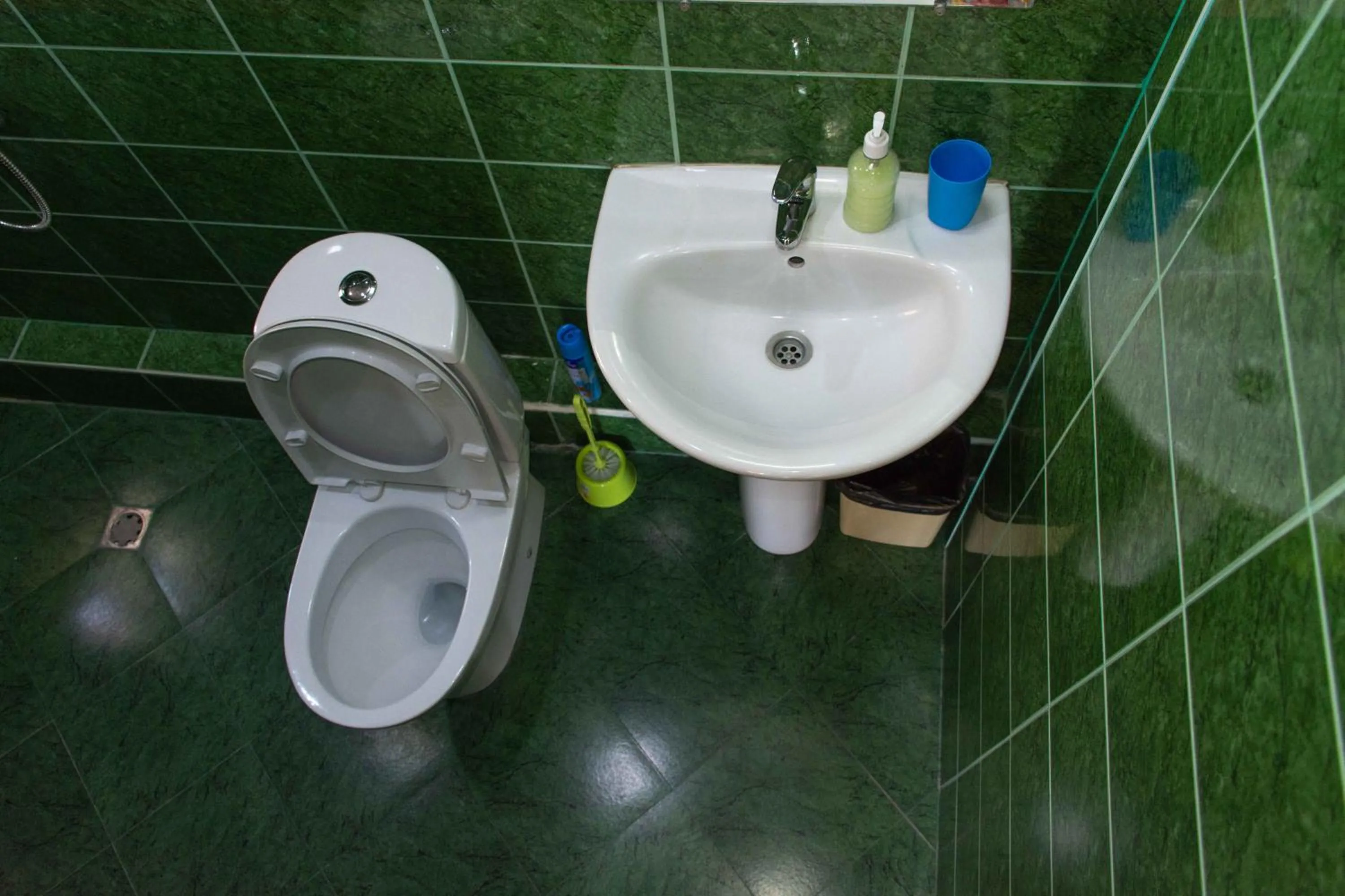 Bathroom in JR's House