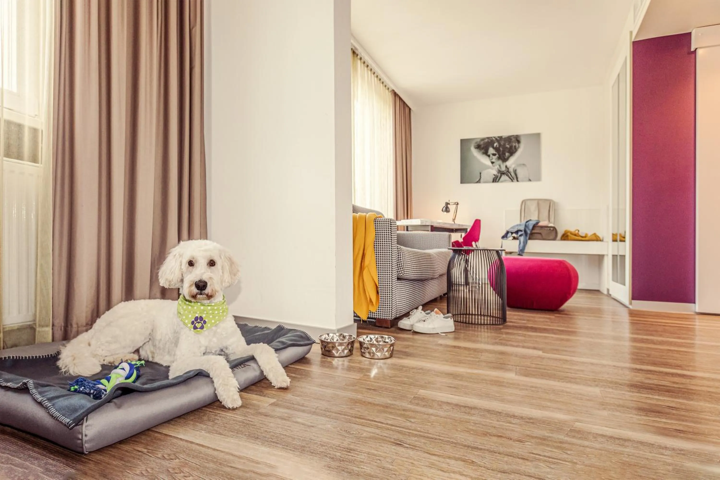 Pets in Hotel Indigo - Dusseldorf - Victoriaplatz by IHG
