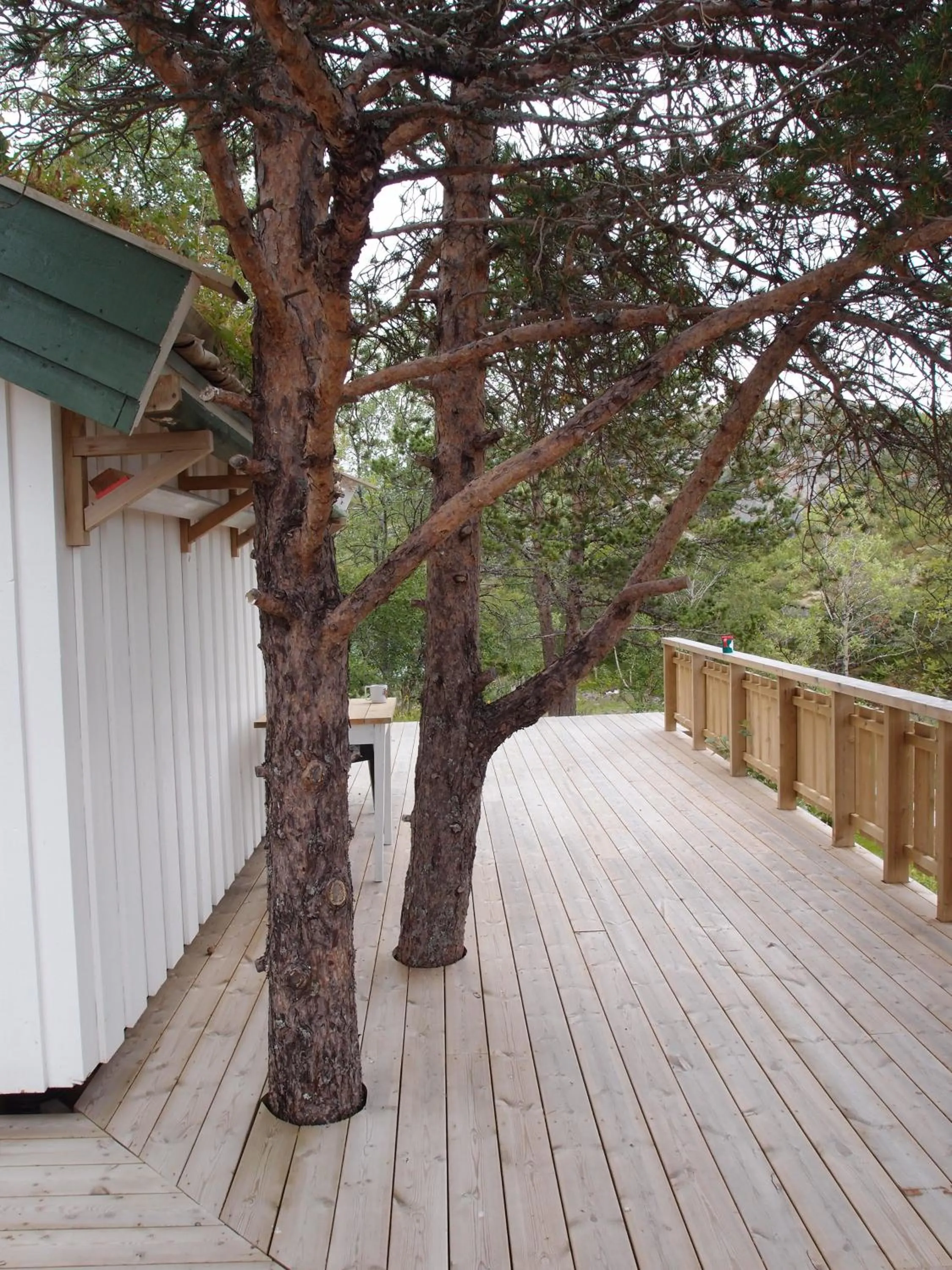 Balcony/Terrace in Kabelvåg Feriehus & Camping