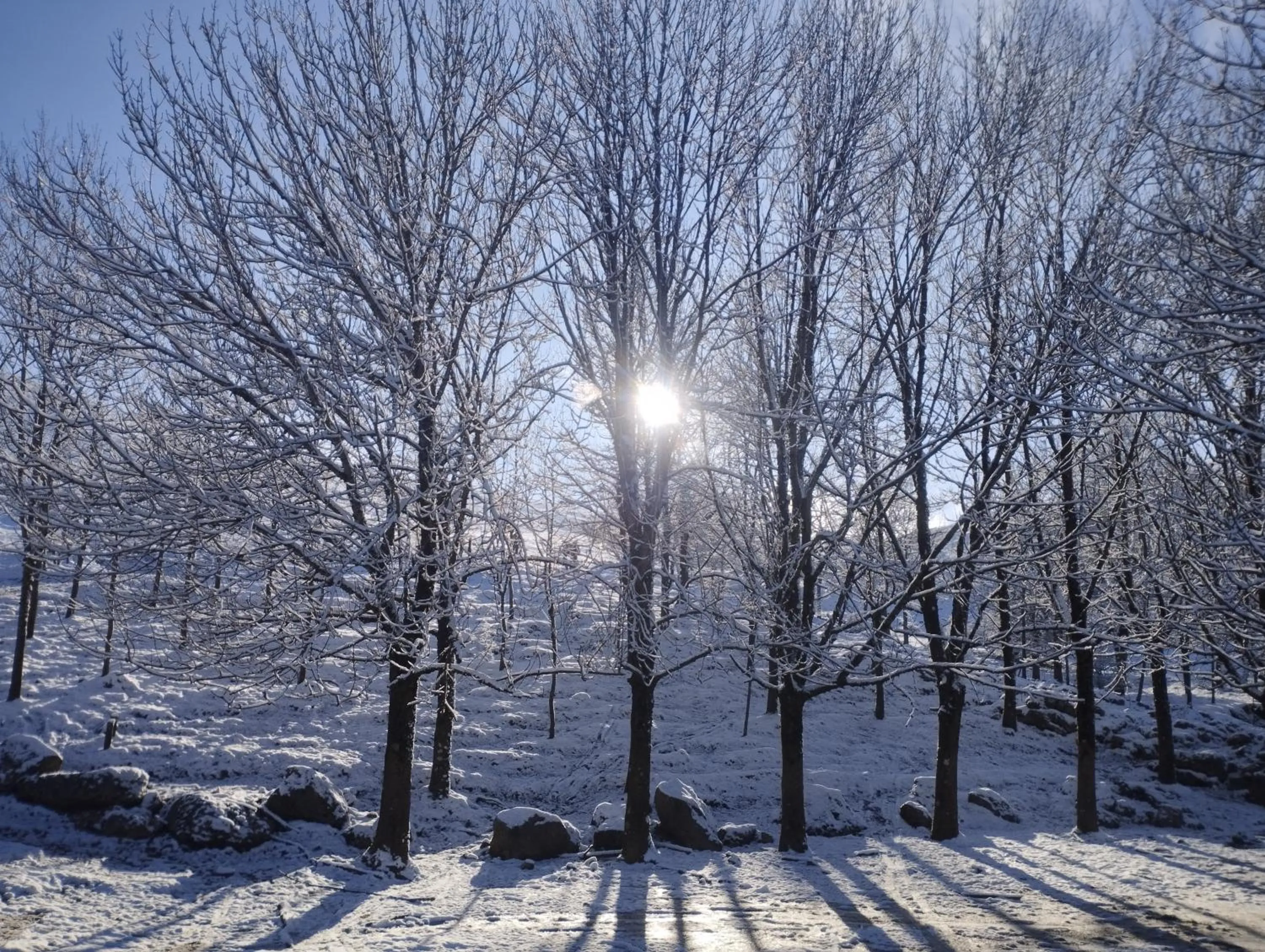 Natural landscape in Soraluze Hotela