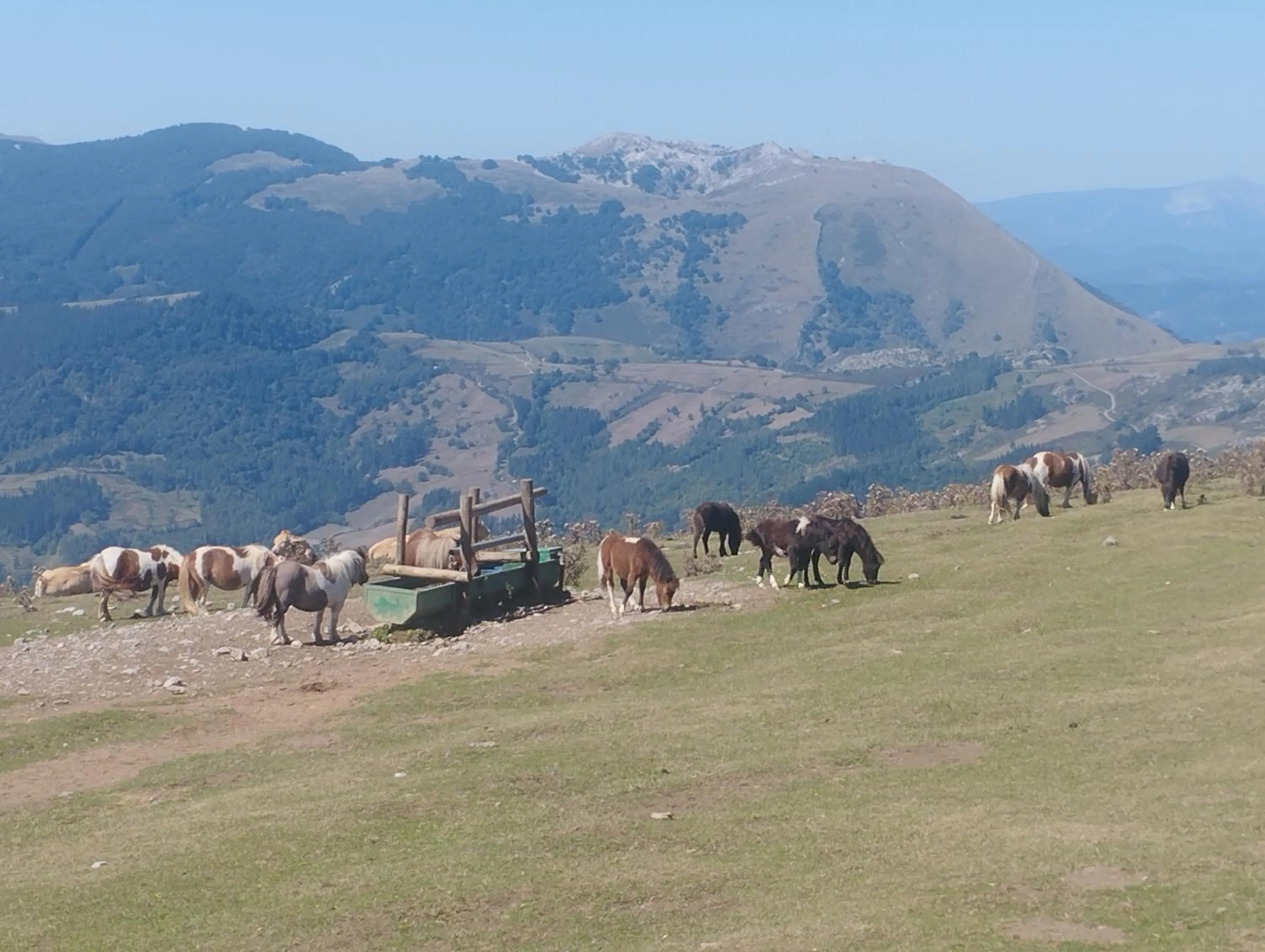 Hiking in Soraluze Hotela