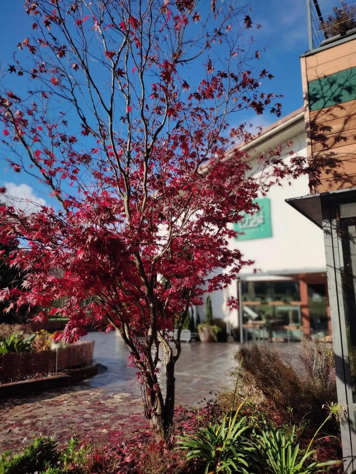 Natural landscape in Soraluze Hotela