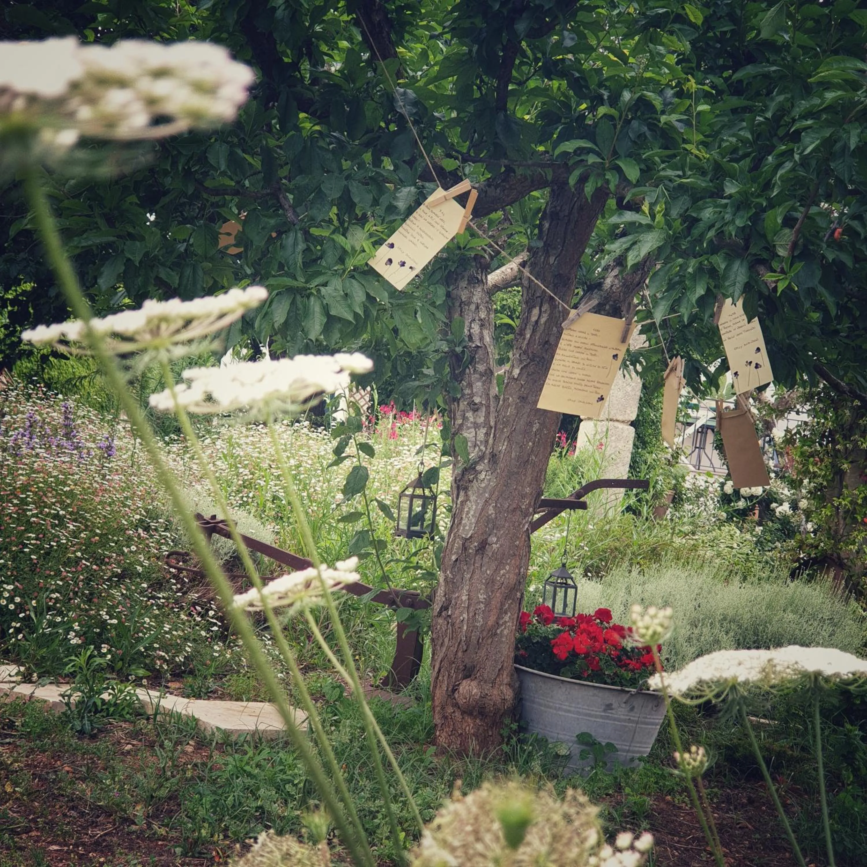 B&B Il giardino ritrovato