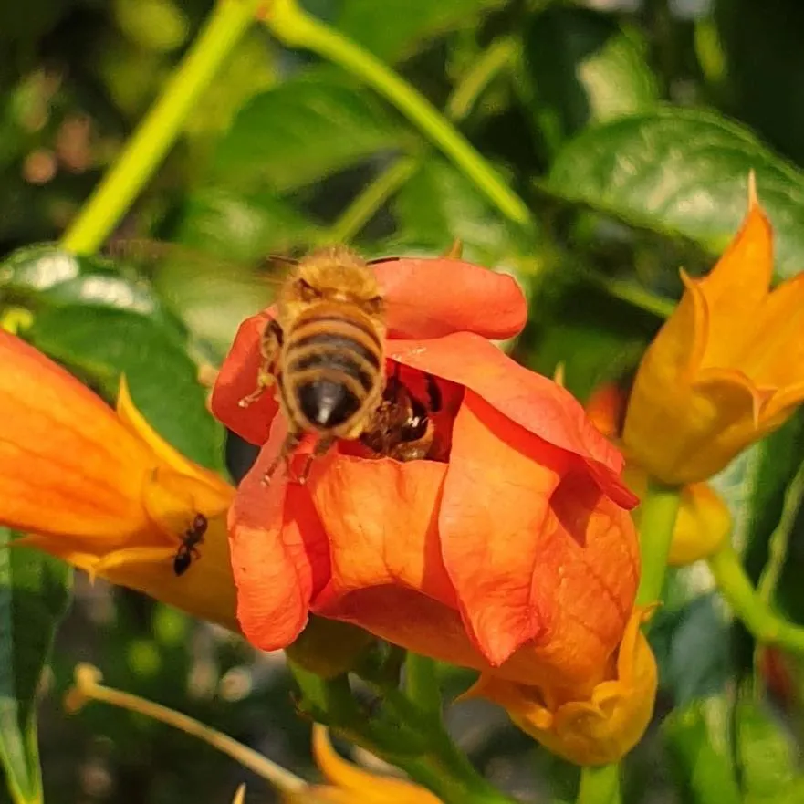 B&B Il giardino ritrovato