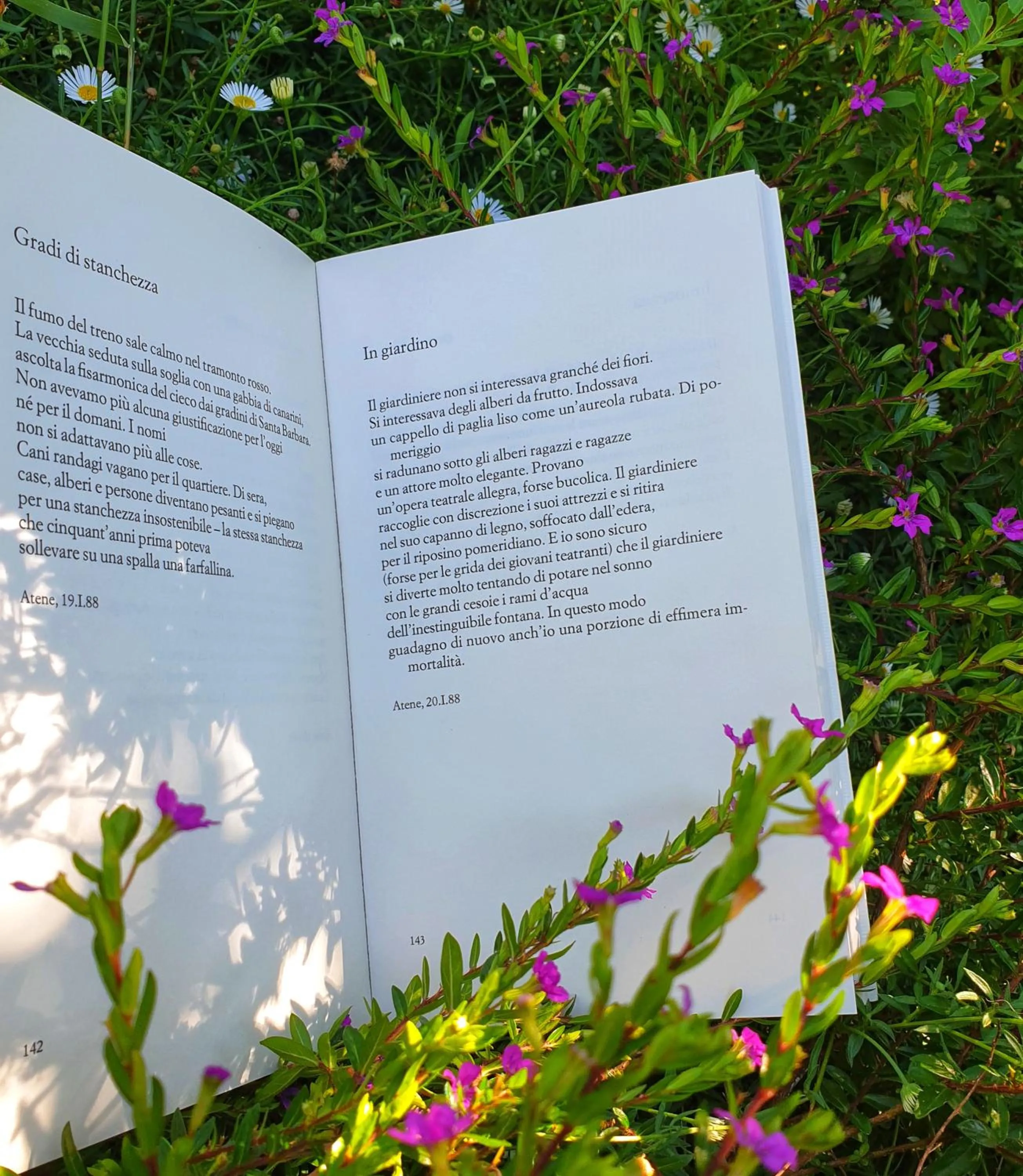 B&B Il giardino ritrovato