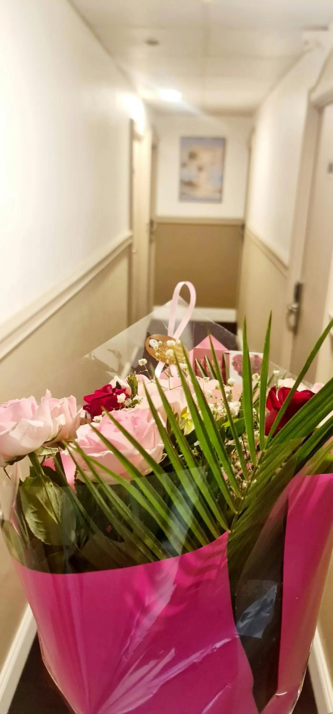 acessibility in Evelia Hotels