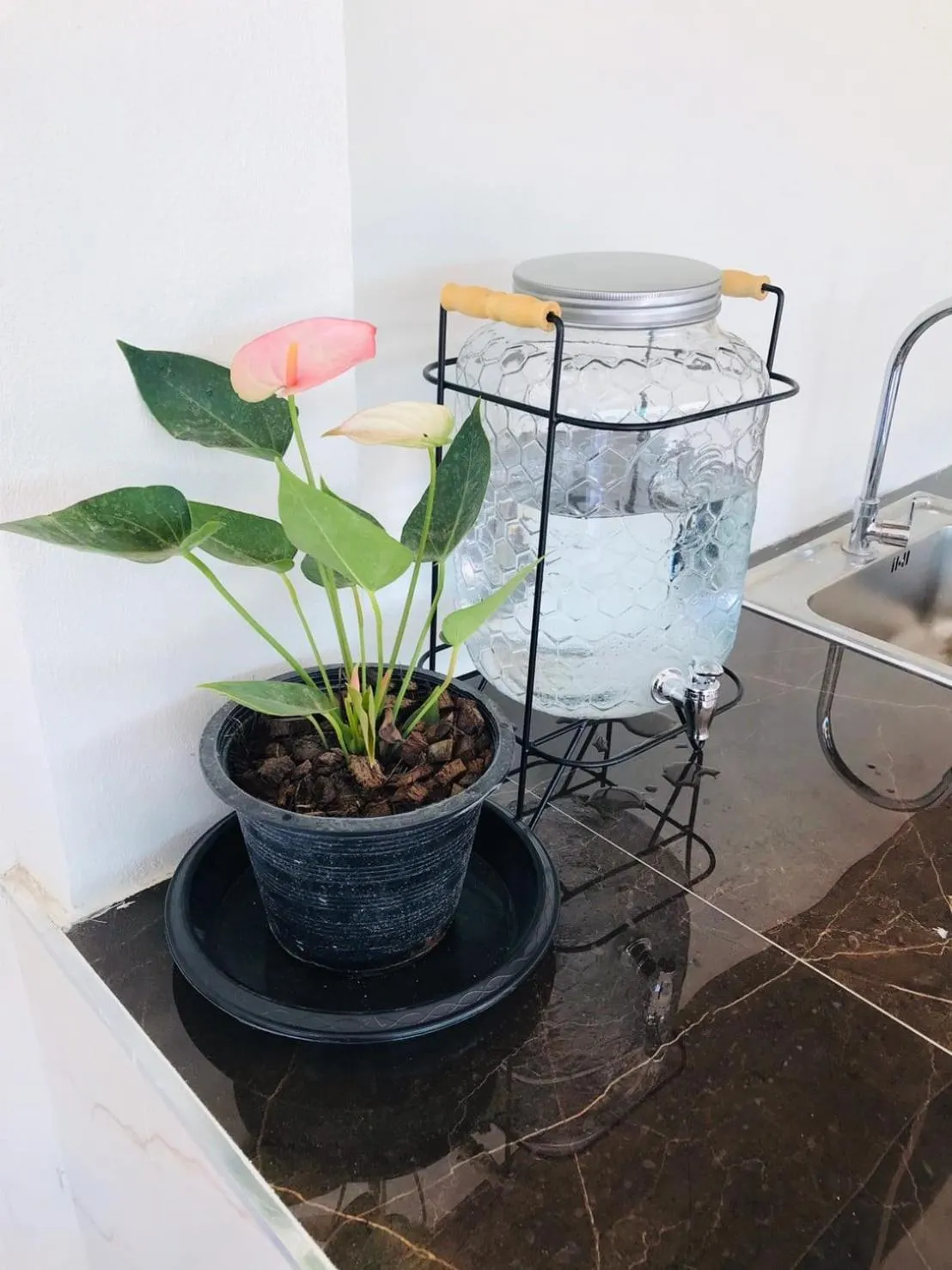 Restaurant/places to eat in Park Villa Chaiyaphume