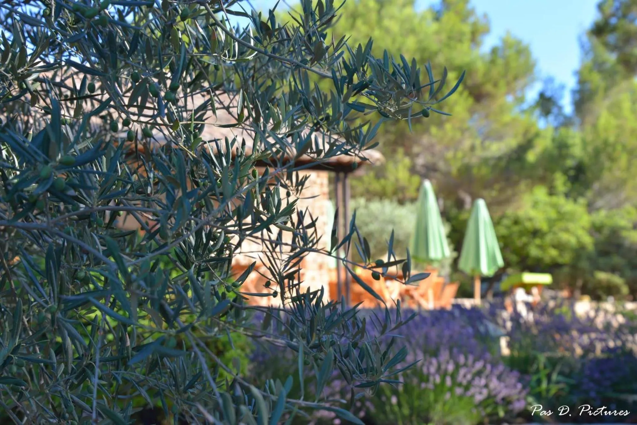 Patio in Le Jas de Joucas Hôtel-Restaurant