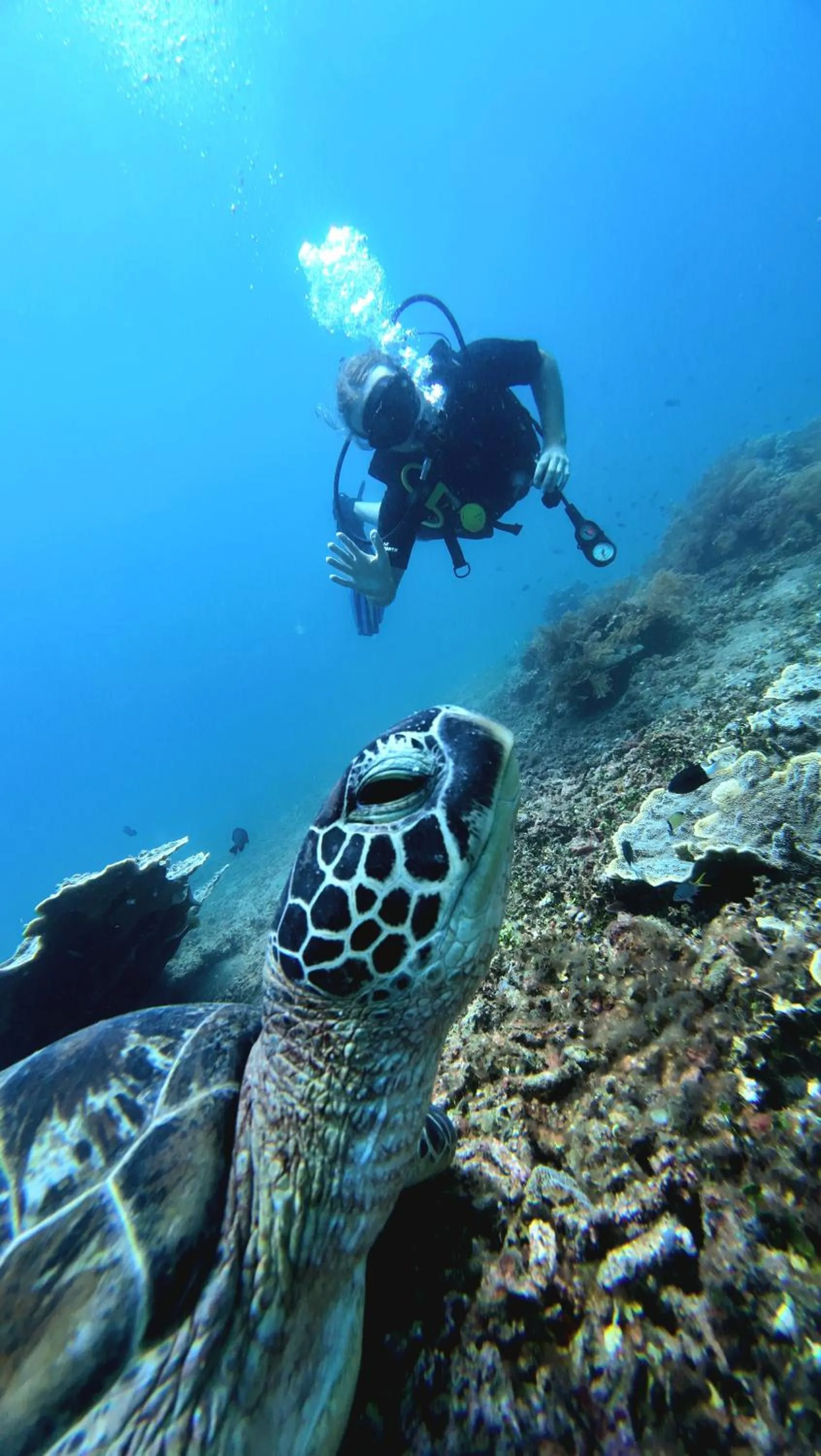 Kura Kura Divers Lodge